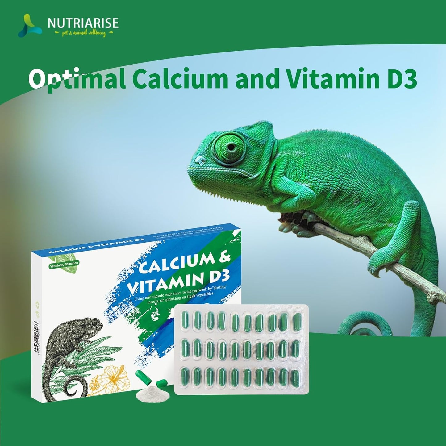 Calcium Reptile Supplement with Vitamin D3 for Bearded Dragons, Turtles & More - NUTRIARISE