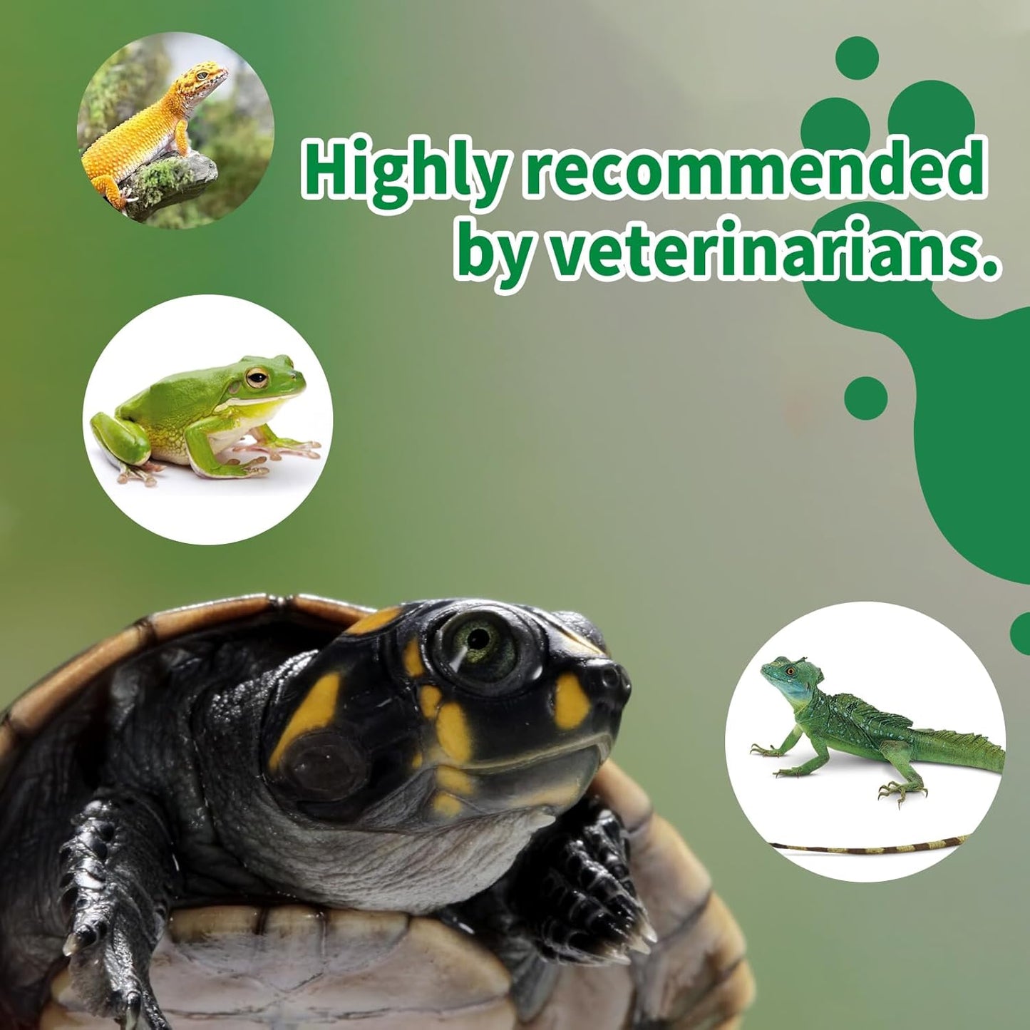 Calcium Reptile Supplement with Vitamin D3 for Bearded Dragons, Turtles & More - NUTRIARISE