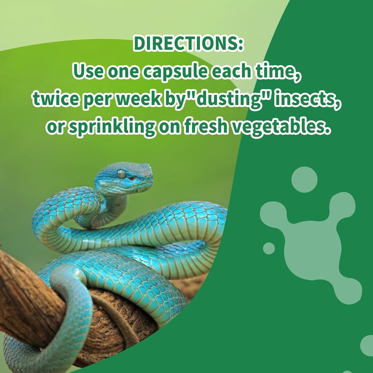 Calcium Reptile Supplement with Vitamin D3 for Bearded Dragons, Turtles & More - NUTRIARISE