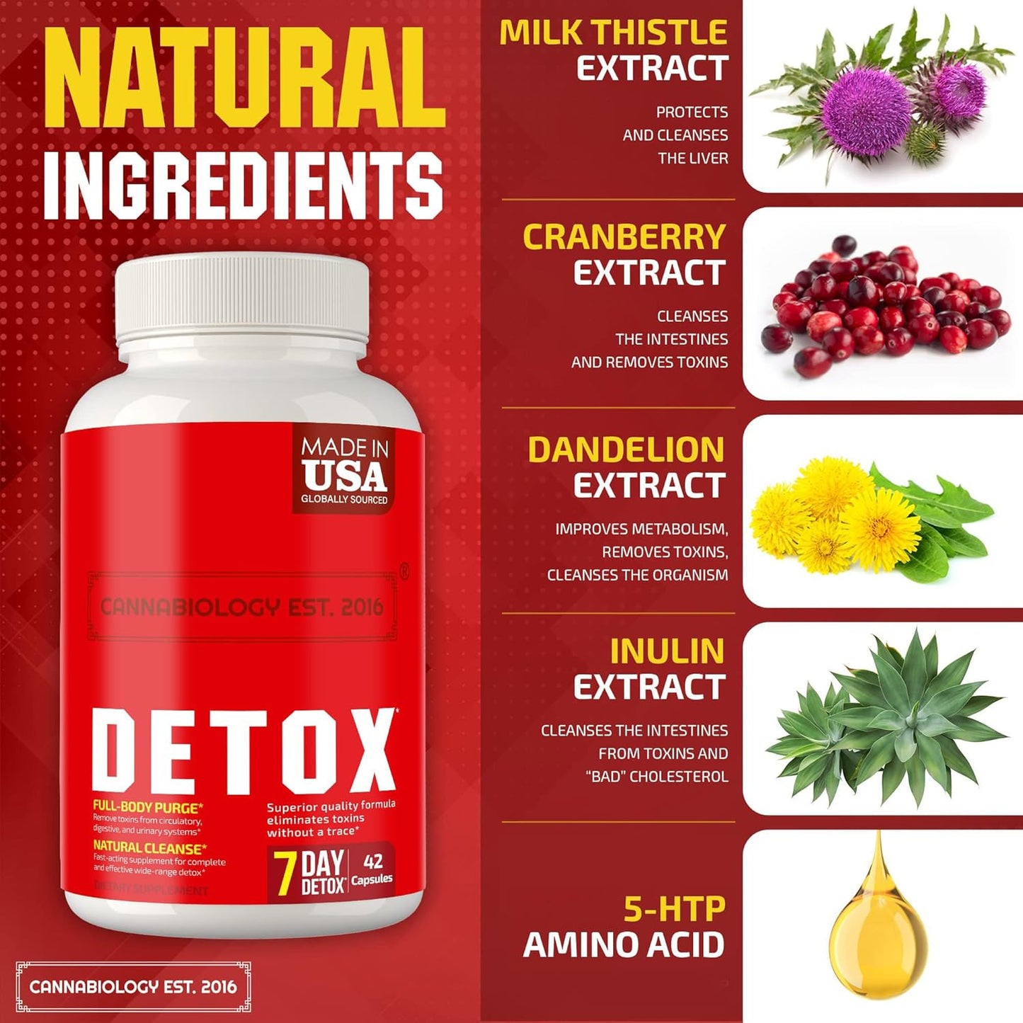 Cannabiology Complete Body Cleanse - Natural Detox Support for Liver, Urinary Tract, Digestive System - Made in USA - Body Cleanse for Women & Men - 42 Vegan Capsules