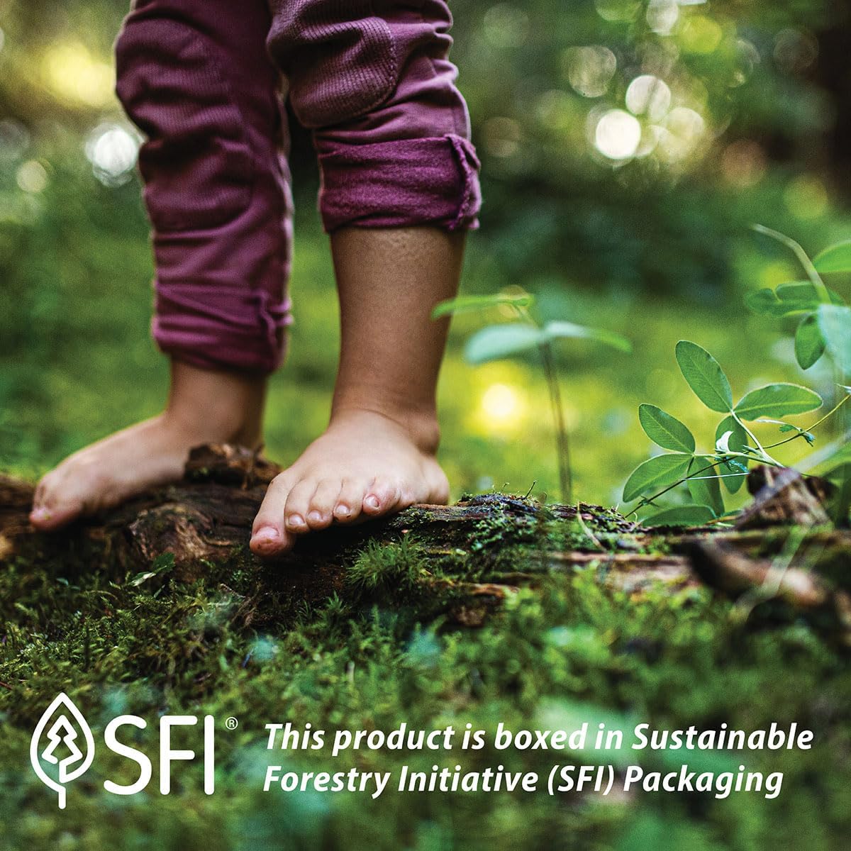 Carlson Super Daily D3 4,000 IU Drops for Heart, Immune, Teeth, and Bone Strength - Unflavored - 365 Drops