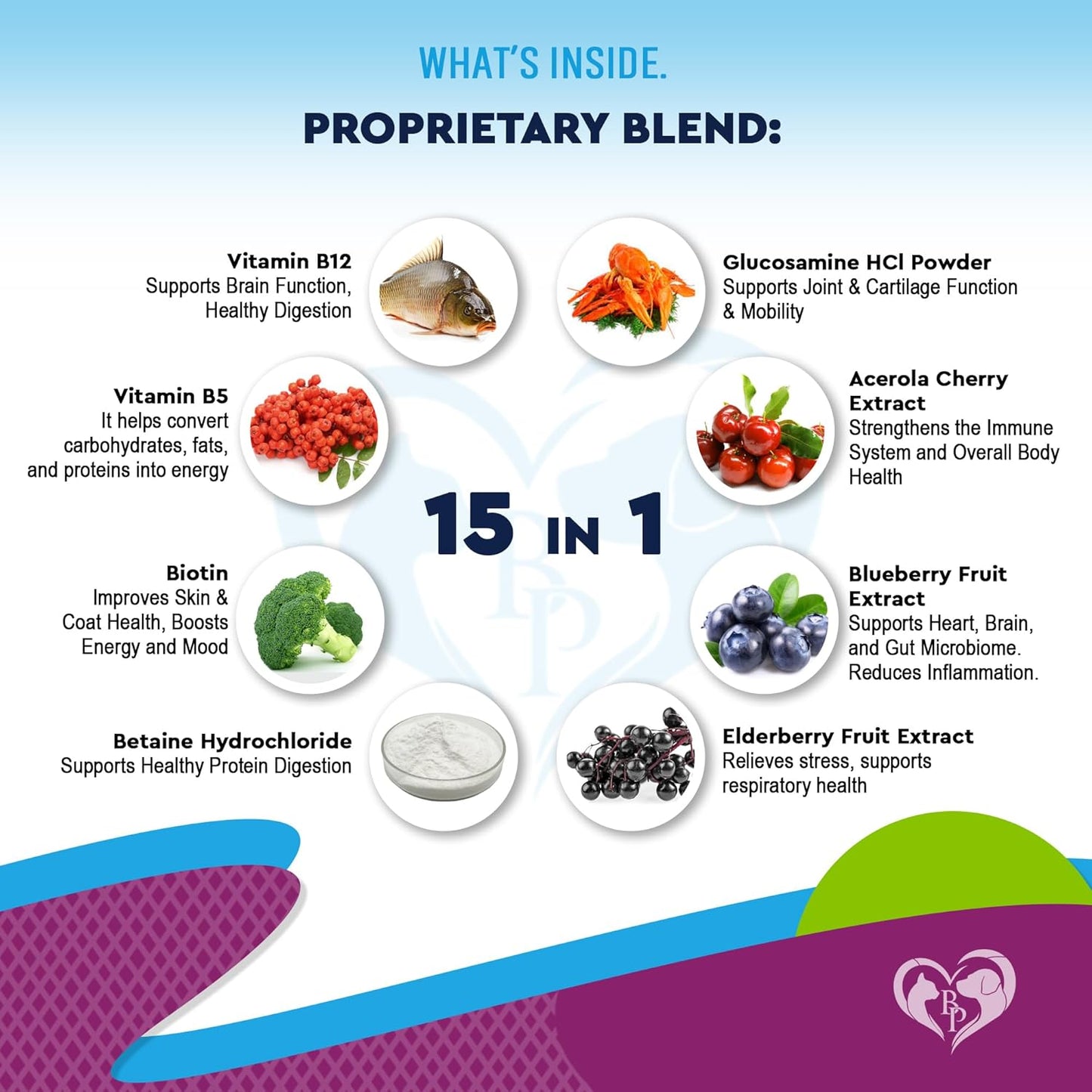 Cat & Dog Multivitamin Liquid with Glucosamine, Cranberry & 15 Health Supplements | Natural UTI Medicine for Kidney, Bladder, Hip, Joint, Skin & Coat | Made in USA (60 ml) - BoostGo Australia