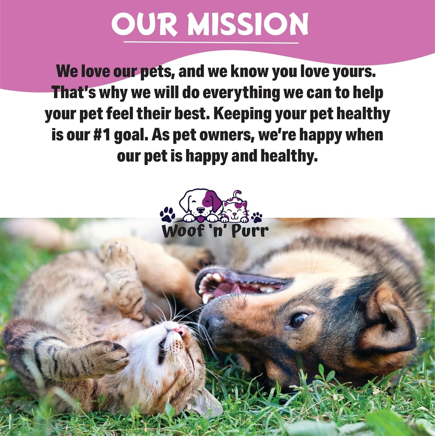 Cat Immune Support Supplement - Boosts Immune System in Cats - 1 fl oz