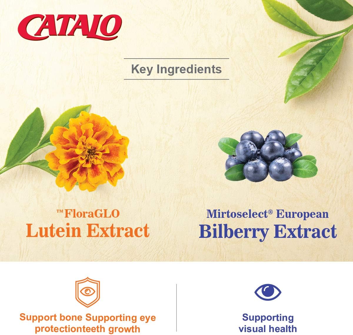 CATALO Children's Eye Health Formula with Bilberry, Lutein, and Zinc - Blueberry Flavor Chewable Tablets for Vision Support