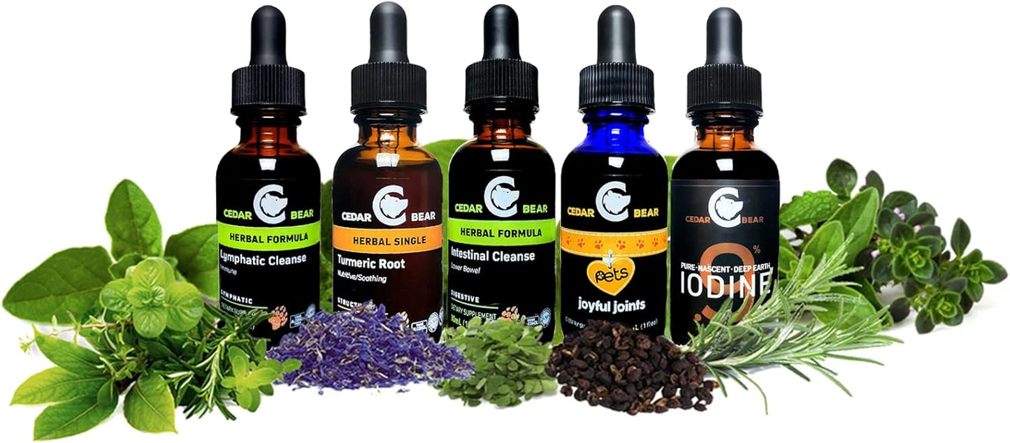 Cedar Bear Naturals Turmeric Root Liquid Herbal Supplement 2 Fl Oz - Supports Cellular Activity & Immune Function