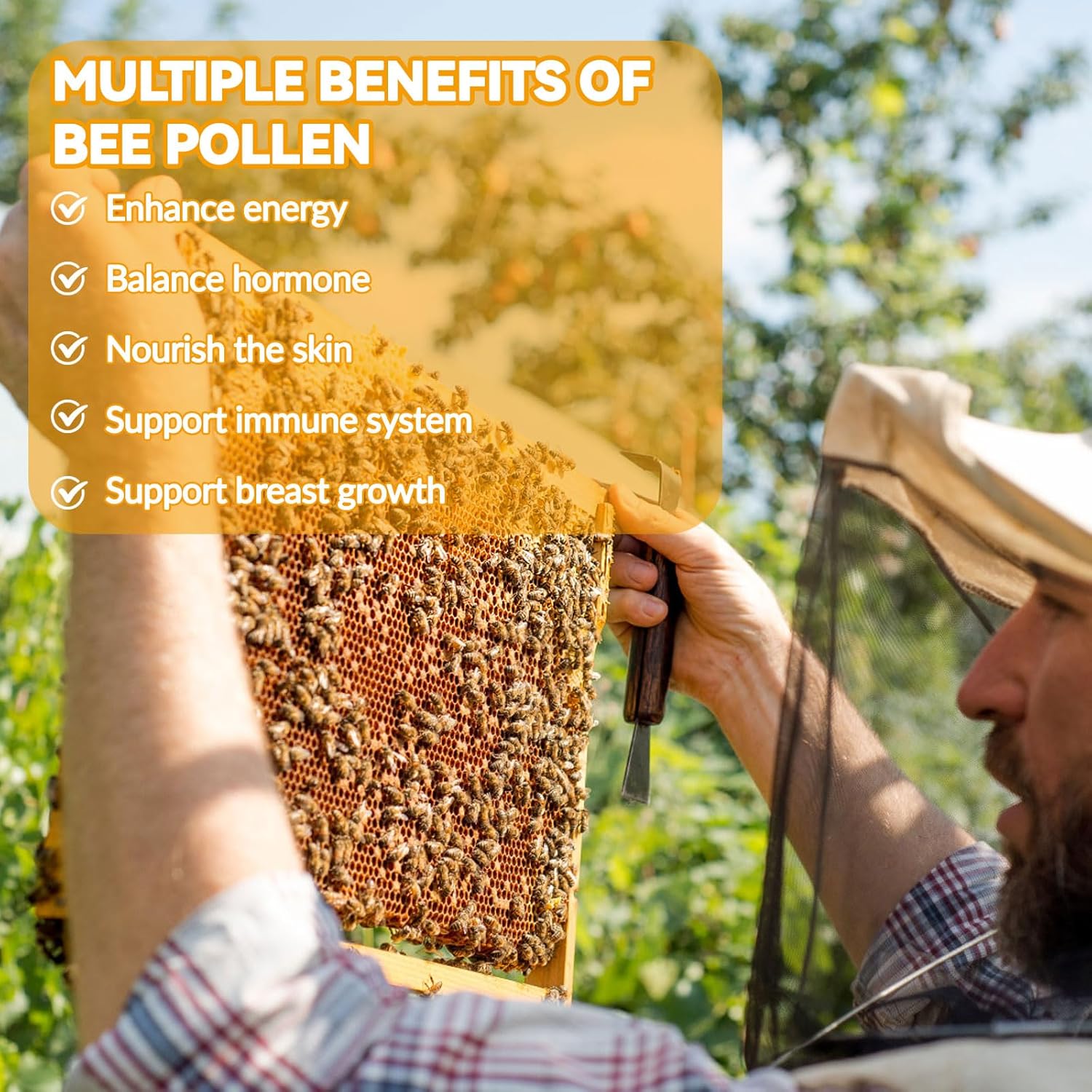 Ceecisee Bee Pollen Gummies - 1000mg Bee Pollen, 300mg Royal Jelly, 300mg Propolis, Calcium, Vitamin B6, Vitamin C - Skin, Immune System, Energy Boost - Honey Flavor - 60 Count