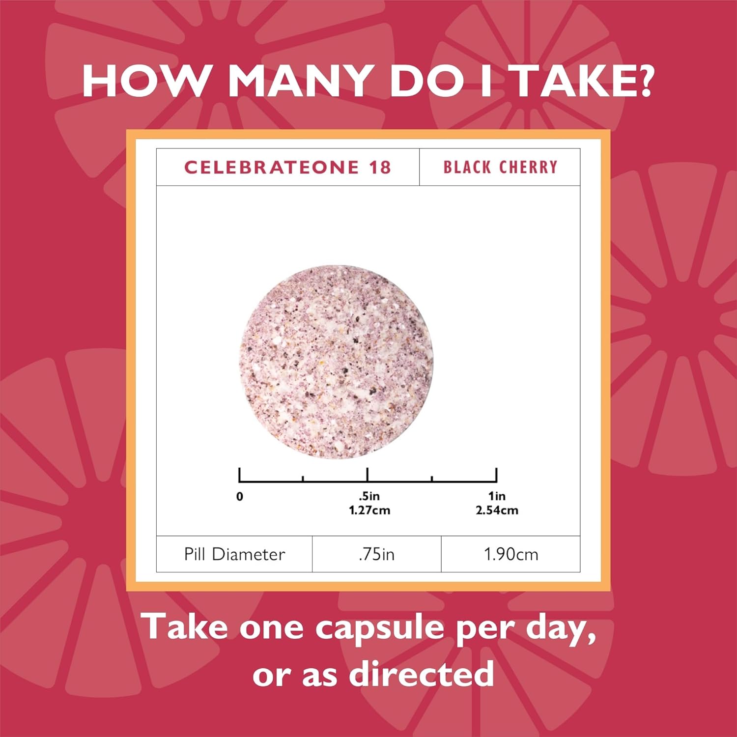 CelebrateONE Bariatric Multivitamin Bundle with Iron & Probiotics - Supports Digestive Health and Nutrient Absorption for Bariatric Patients