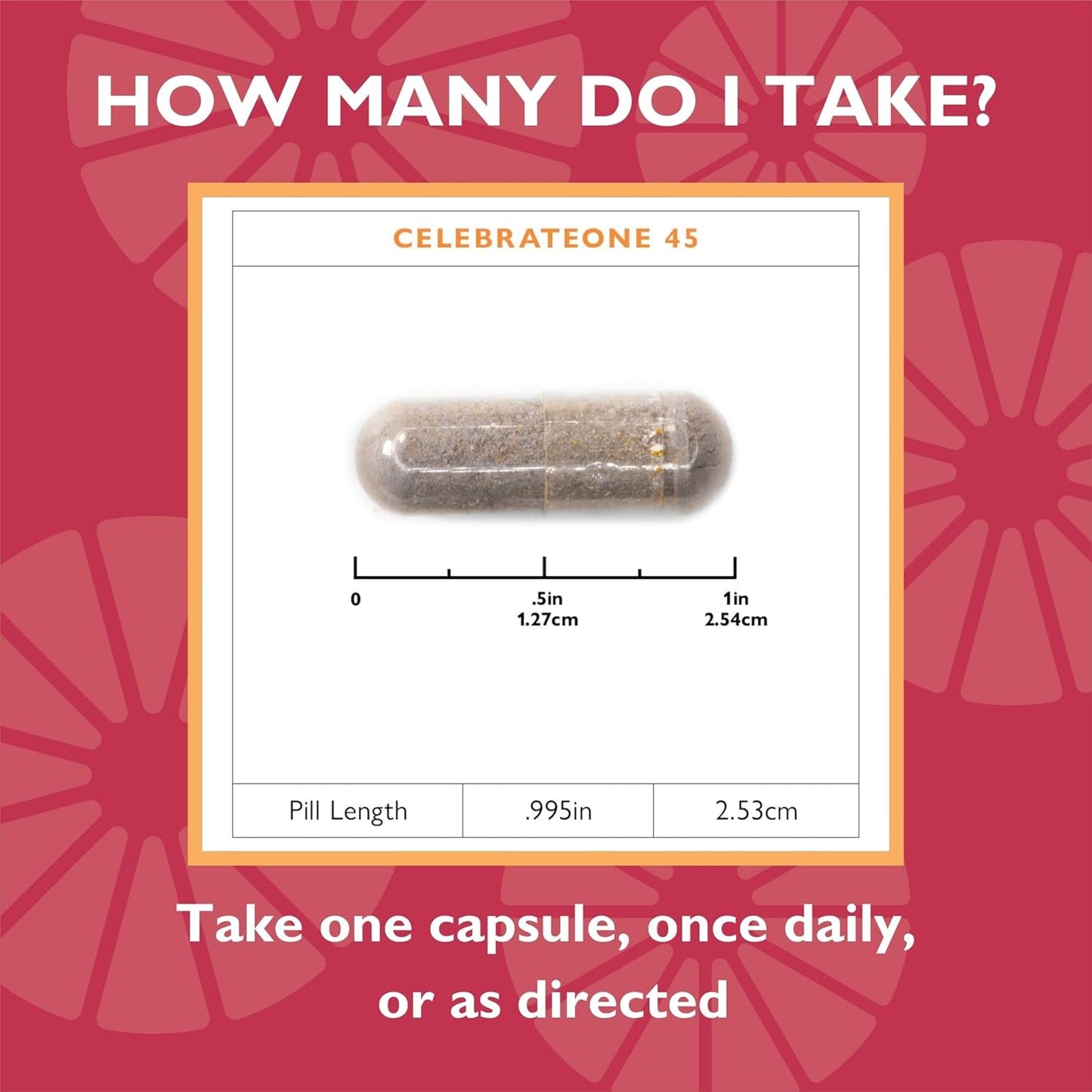 CelebrateONE Bariatric Multivitamin with Iron - Essential Supplement for Gastric Bypass & Sleeve Gastrectomy - One A Day (30 Capsules)