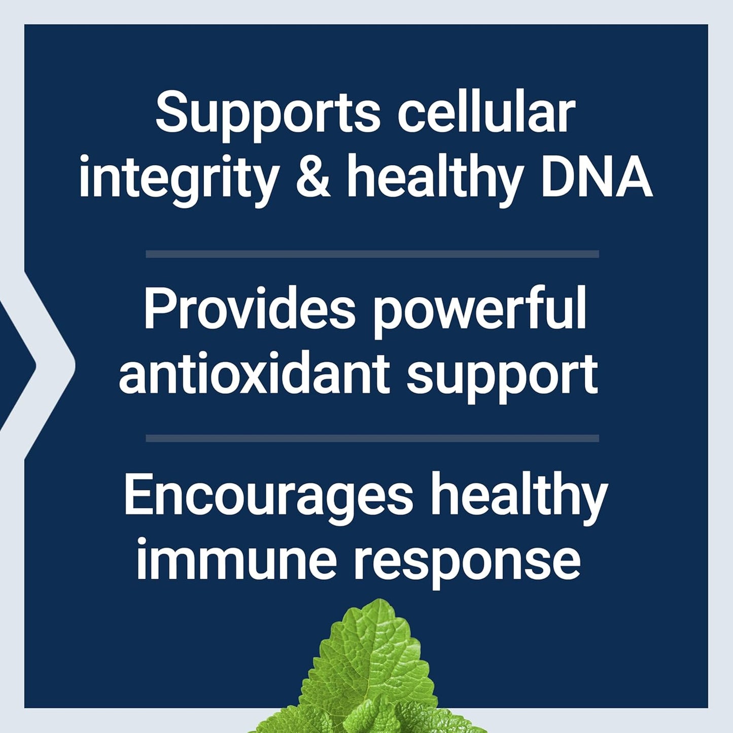 Cellular Integrity and DNA Health Support Supplement with Spirulina, Lemon Balm, Ginkgo Biloba - 90 Capsules, Gluten-Free & Non-GMO, Vegetarian Formula for Healthy Immune Response