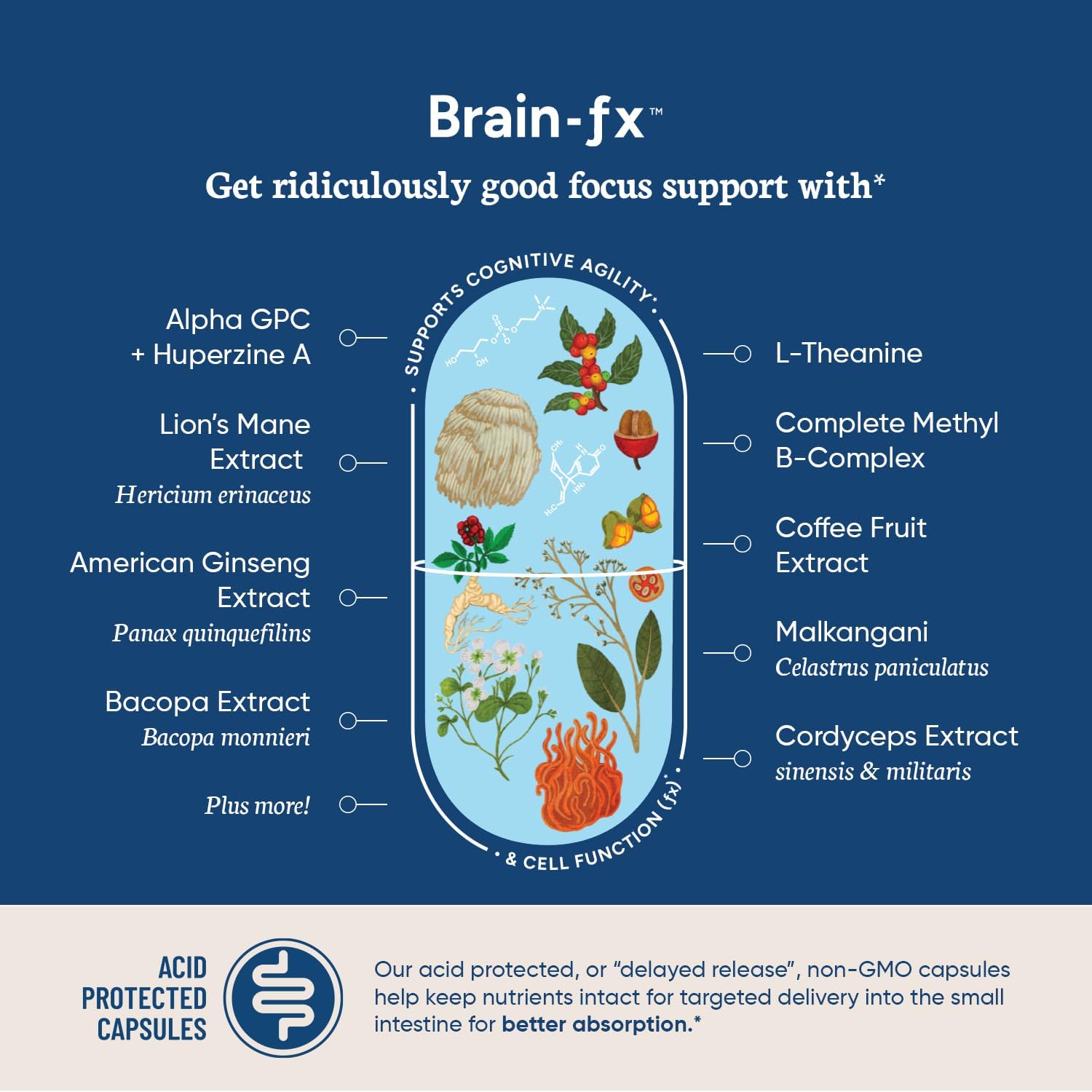 Certified Clean PPO Lab BioAssist® Relief Bundle: Relieve-Fx™, Brain-fx™, Joint Support, Detox, Nootropic for Memory, Focus, Energy