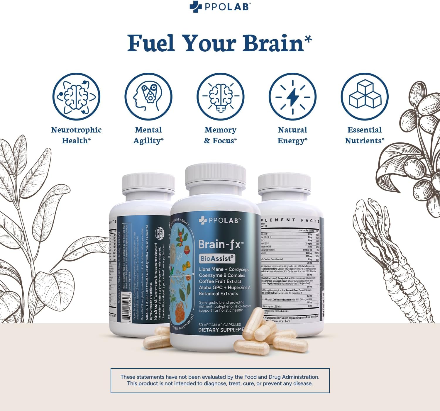 Certified Clean PPO Lab BioAssist® Relief Bundle: Relieve-Fx™, Brain-fx™, Joint Support, Detox, Nootropic for Memory, Focus, Energy