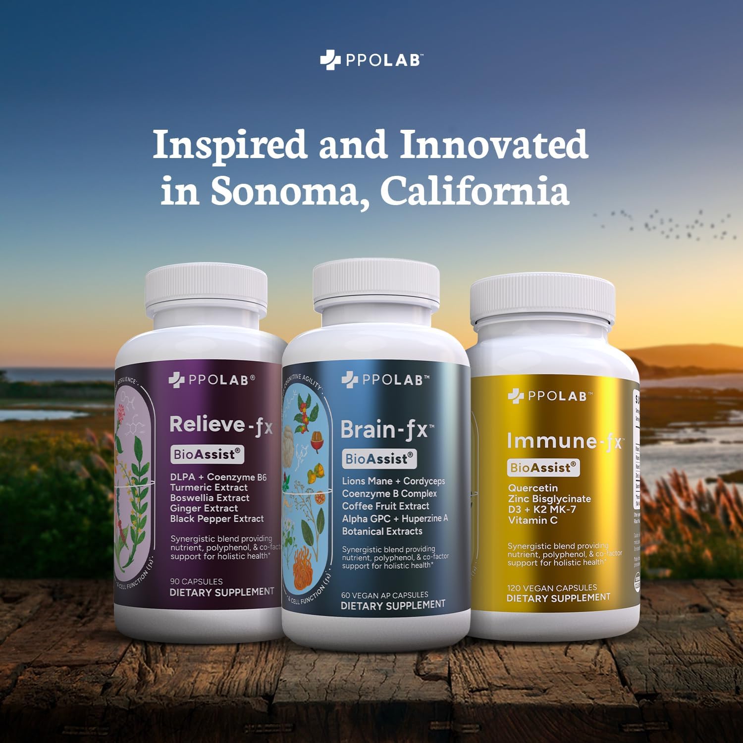 Certified Clean PPO Lab BioAssist® Relief Bundle: Relieve-Fx™, Brain-fx™, Joint Support, Detox, Nootropic for Memory, Focus, Energy