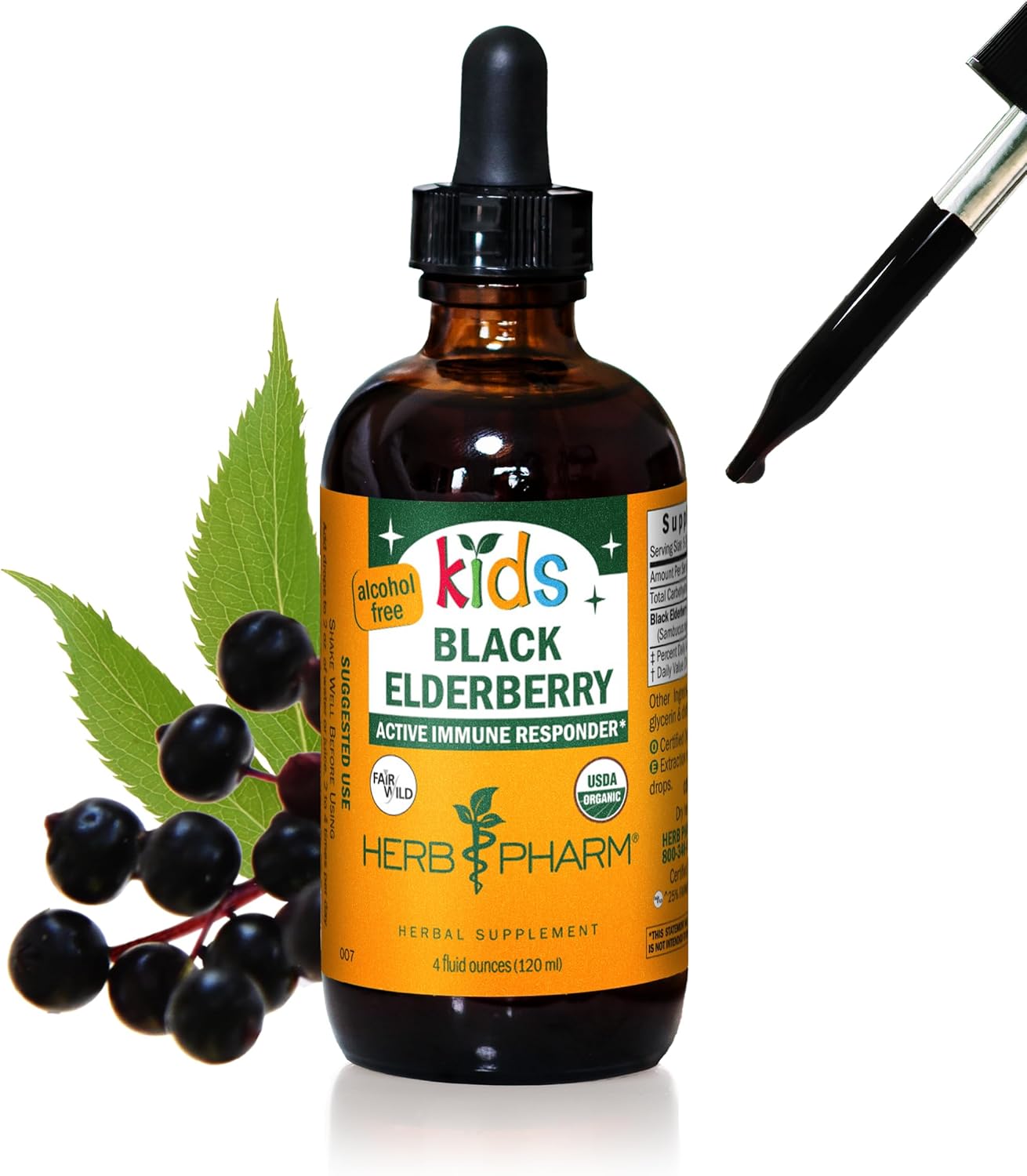 Certified-Organic Alcohol-Free Black Elderberry Glycerite Liquid Extract for Kids - 4 Ounce