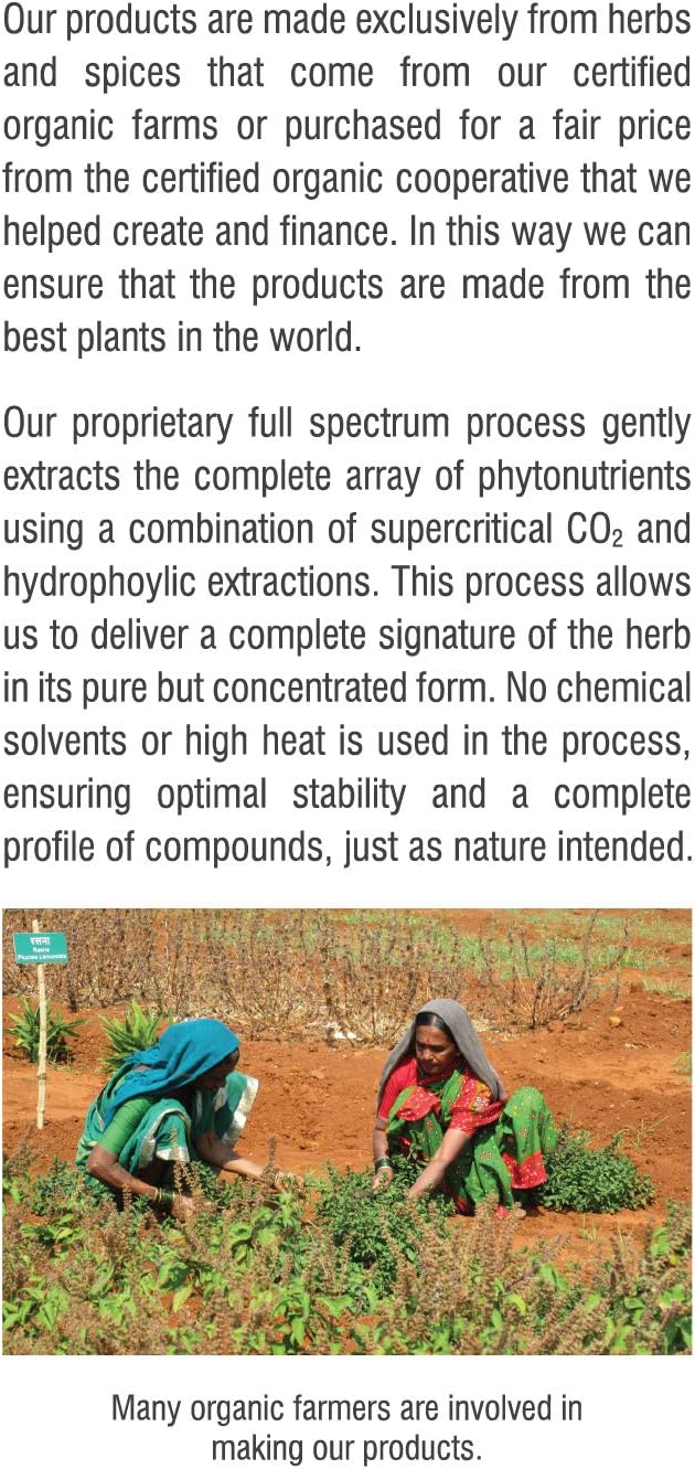 Certified Organic Amla Capsules - Ayurvedic Immune Support with Antioxidant Benefits, Vegan & Gluten-Free