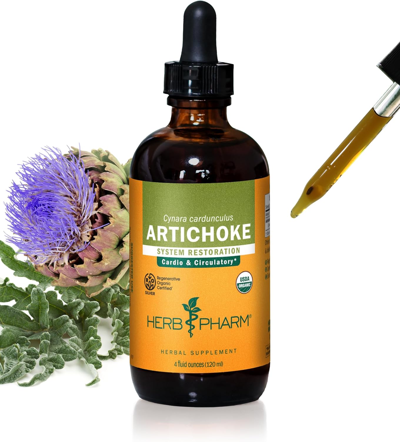 Certified Organic Artichoke Liquid Extract for Cardiovascular and Circulatory Support - 4oz by Herb Pharm