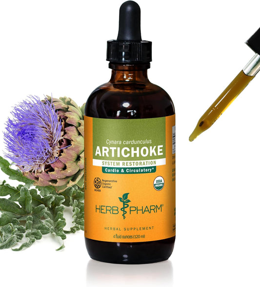 Certified Organic Artichoke Liquid Extract for Cardiovascular and Circulatory Support - 4oz by Herb Pharm