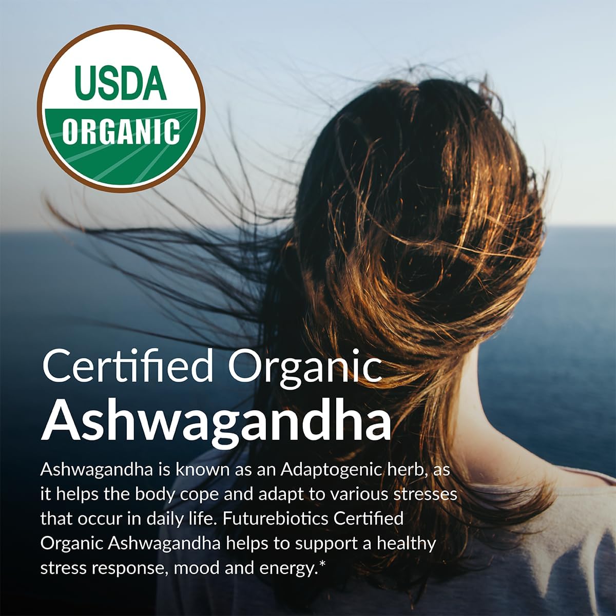 Certified Organic Ashwagandha Tablets for Stress, Mood, and Energy Support - Non-GMO Adaptogenic Herb - 100 Tablets