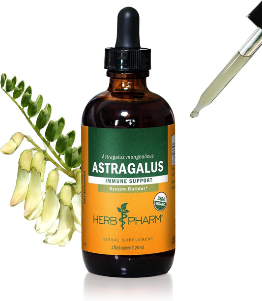 Certified Organic Astragalus Liquid Extract (4oz) - Immune System Support by Herb Pharm