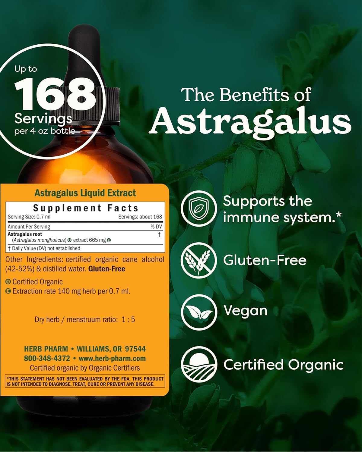 Certified Organic Astragalus Liquid Extract (4oz) - Immune System Support by Herb Pharm