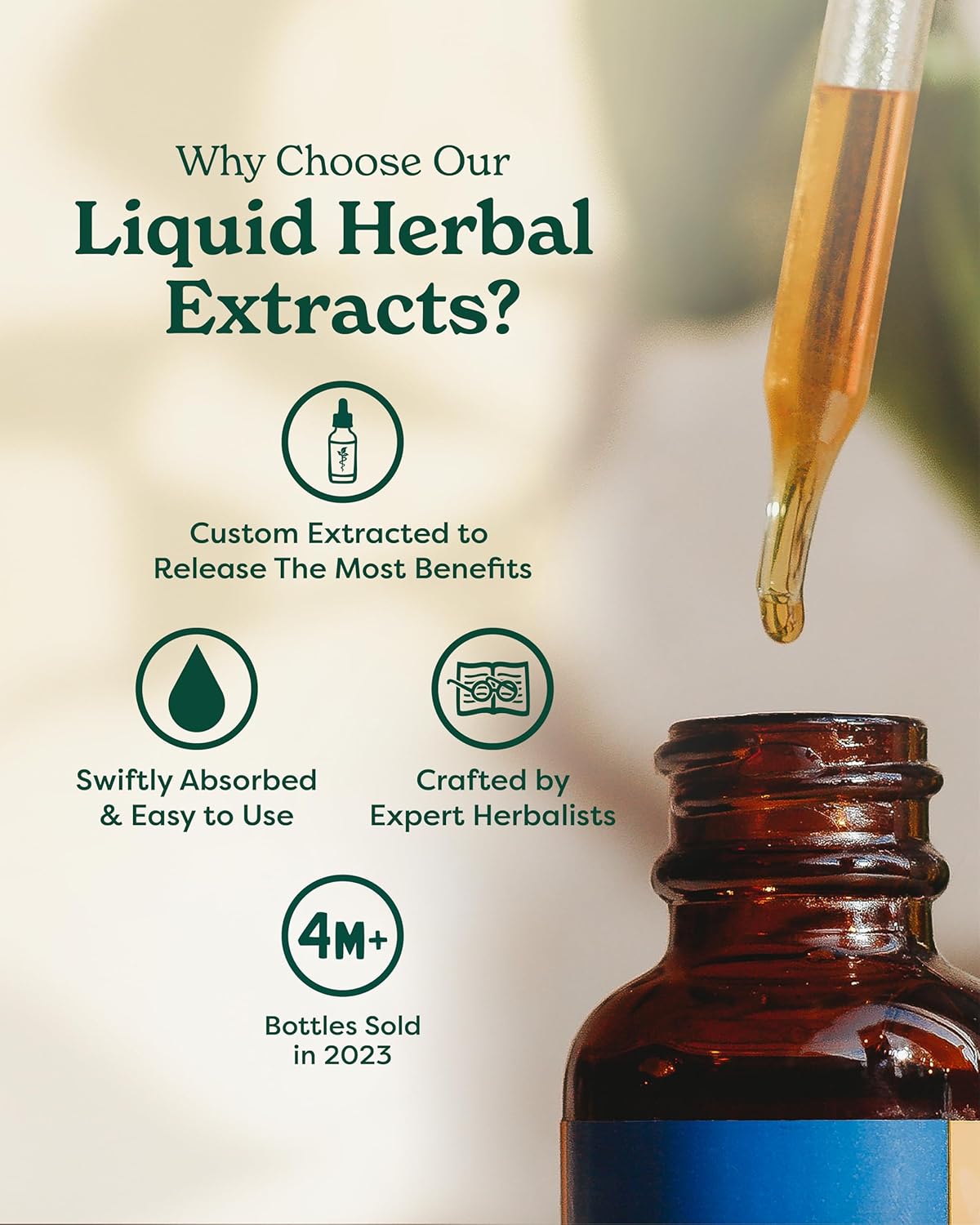 Certified Organic Astragalus Liquid Extract (4oz) - Immune System Support by Herb Pharm