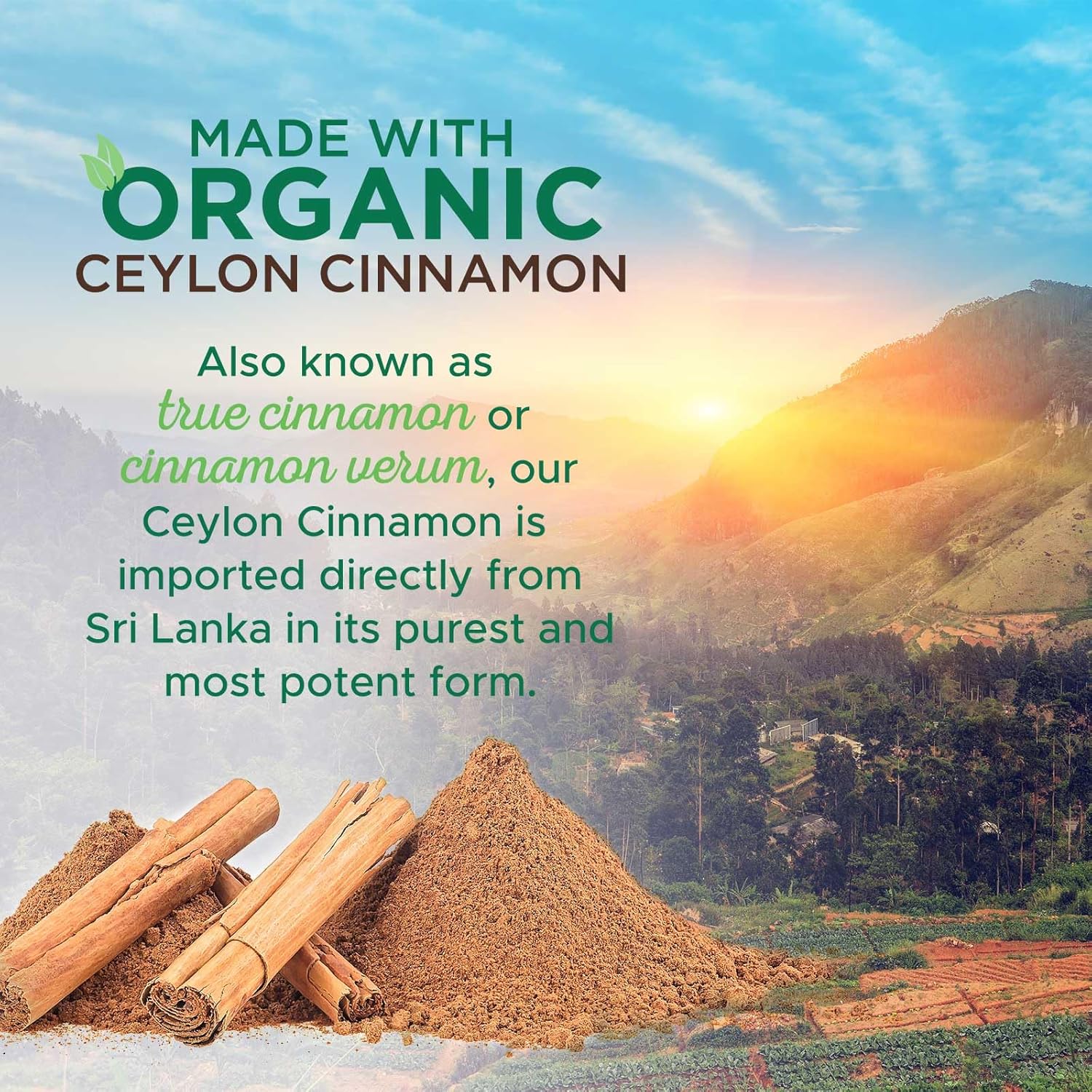 Certified Organic Ceylon Cinnamon Capsules - 1800mg Pure Cinnamon Supplements - Non-GMO, Gluten Free, Vegan - Antioxidant Cinnamon Pills - 180 Count