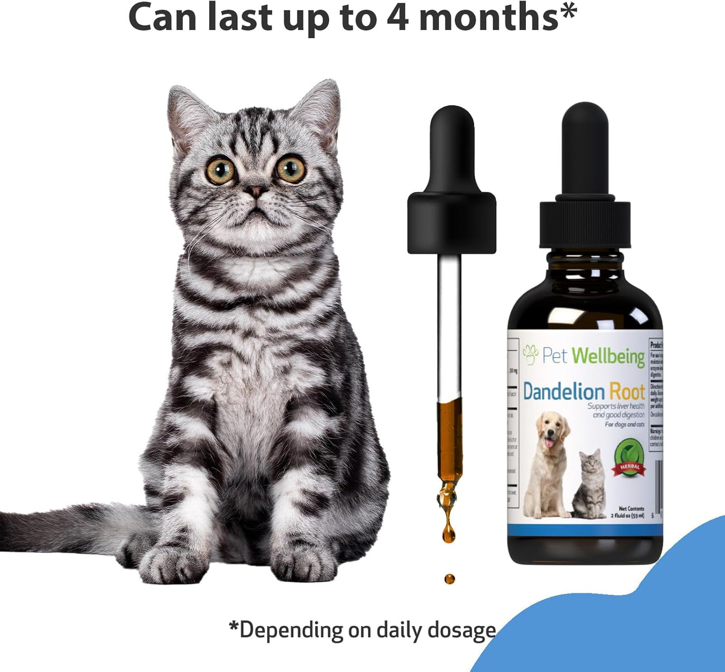 Certified Organic Dandelion Root Supplement for Cats - Promotes Liver & Heart Health, Digestive Function, Blood Sugar Support - Veterinarian-Formulated - 2 oz (59 ml)