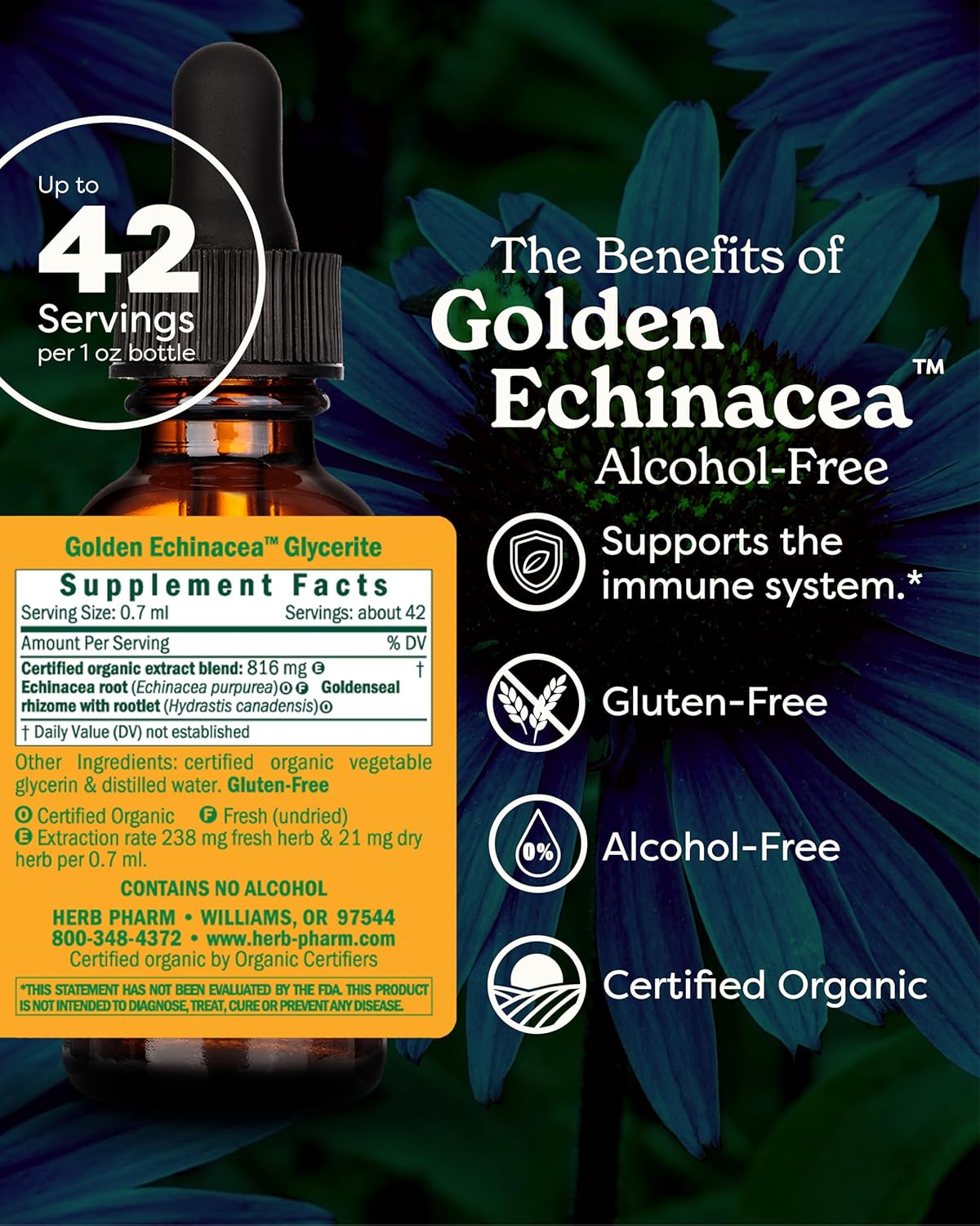Certified Organic Golden Echinacea Liquid Extract - 1 oz Bottle for Immune System Support
