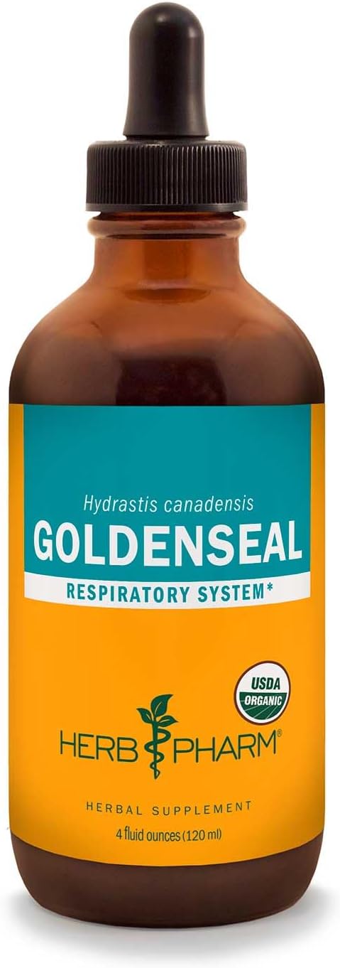 Certified Organic Goldenseal Liquid Extract - 4 Ounce for Respiratory System Support by Herb Pharm