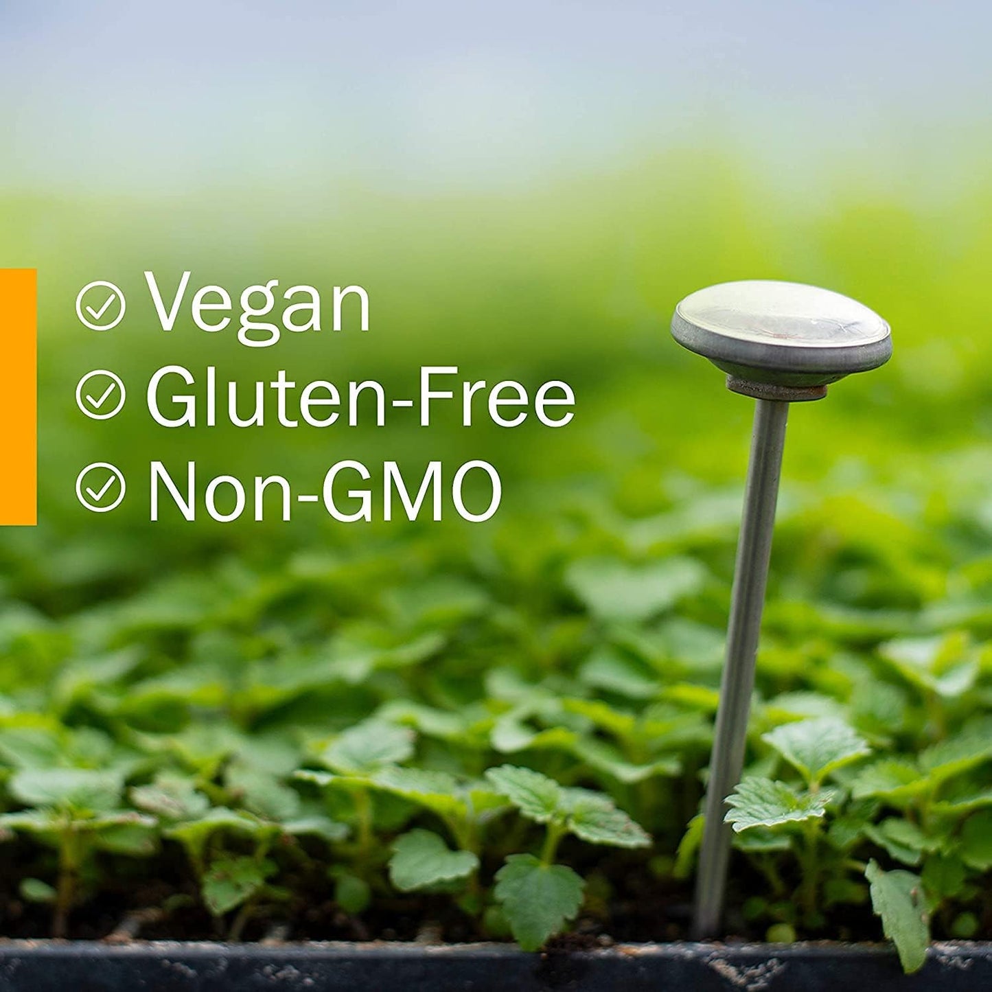 Certified Organic Juniper Liquid Extract for Urinary System Support - 1 Fl Oz by Herb Pharm