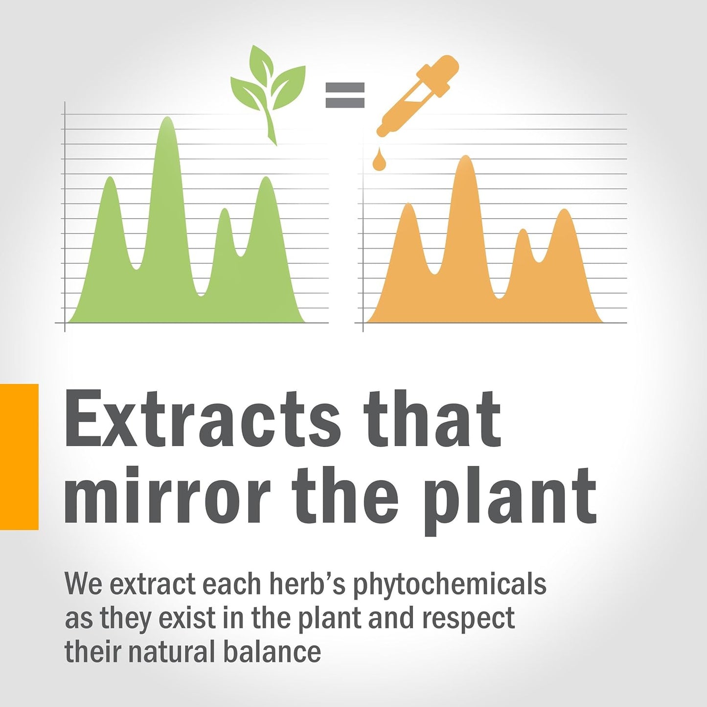 Certified Organic Lobelia Liquid Extract for Musculoskeletal Support - 1oz