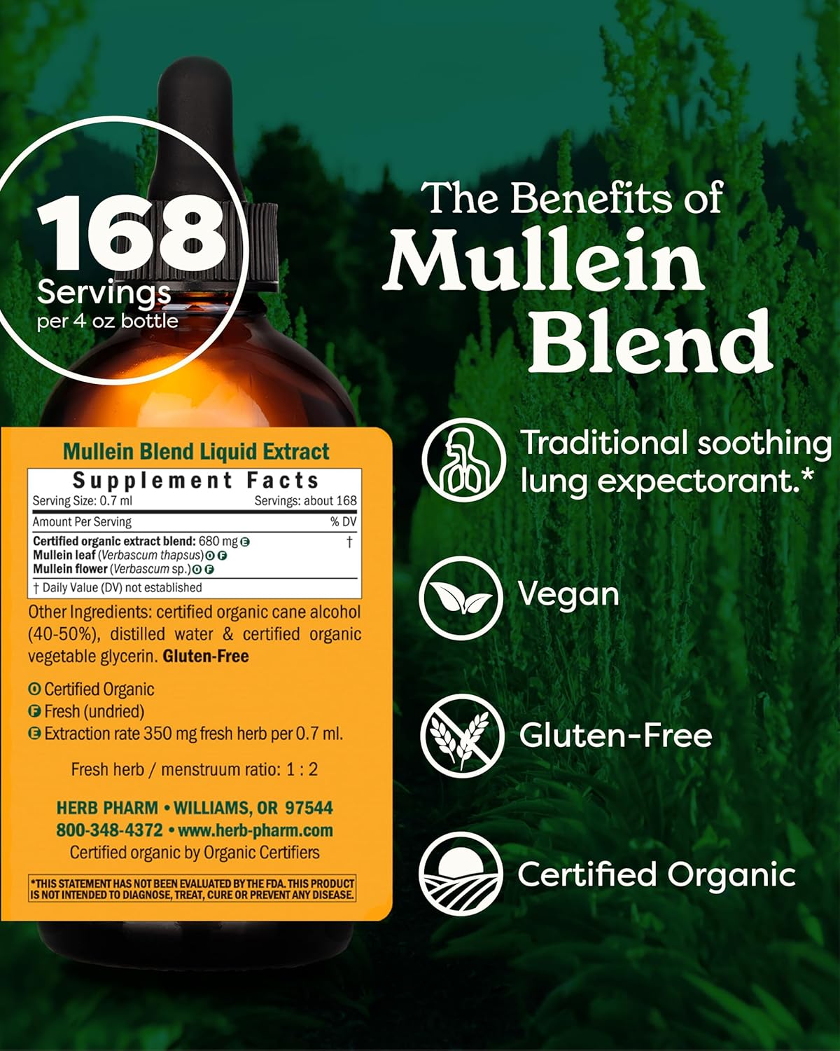 Certified Organic Mullein Blend Liquid Extract for Respiratory System Support - 4oz by Herb Pharm