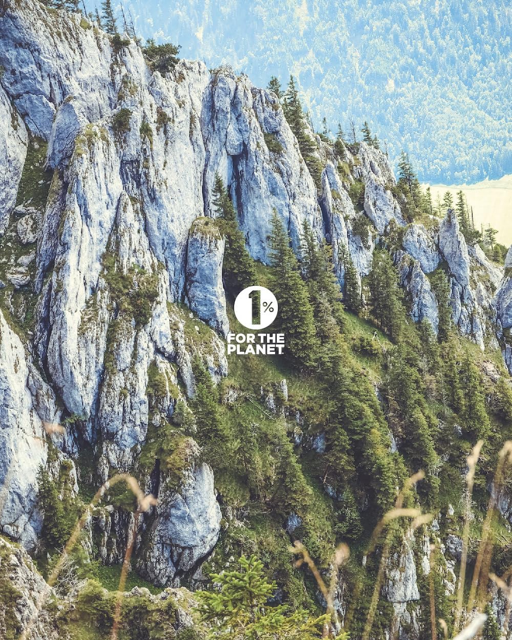 Certified Vegan and Lactose-Free Cell Salt #12 Silica 6X (500 Pellet Bottle) by Jackson's