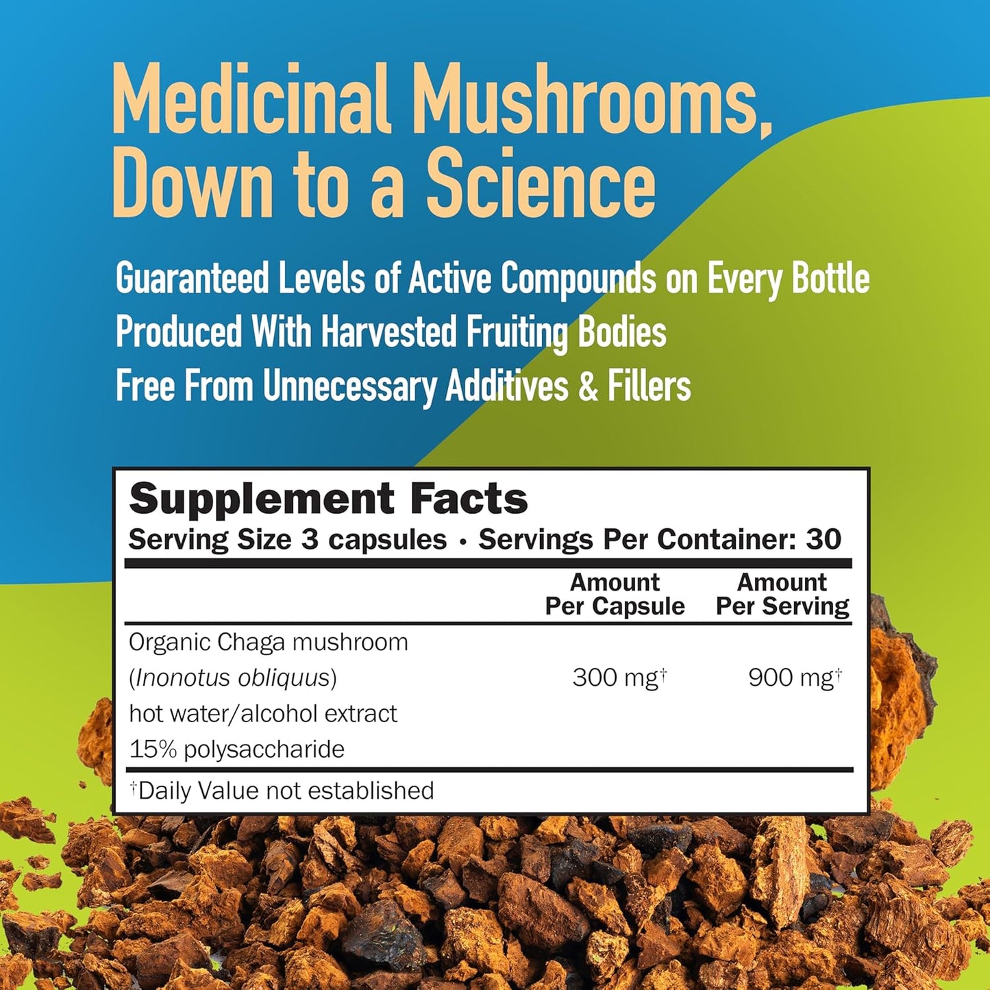 Chaga Mushroom Capsules - Full Spectrum Extract - Natural Antioxidant Supplement - Vegetarian - 300MG, 90 CT