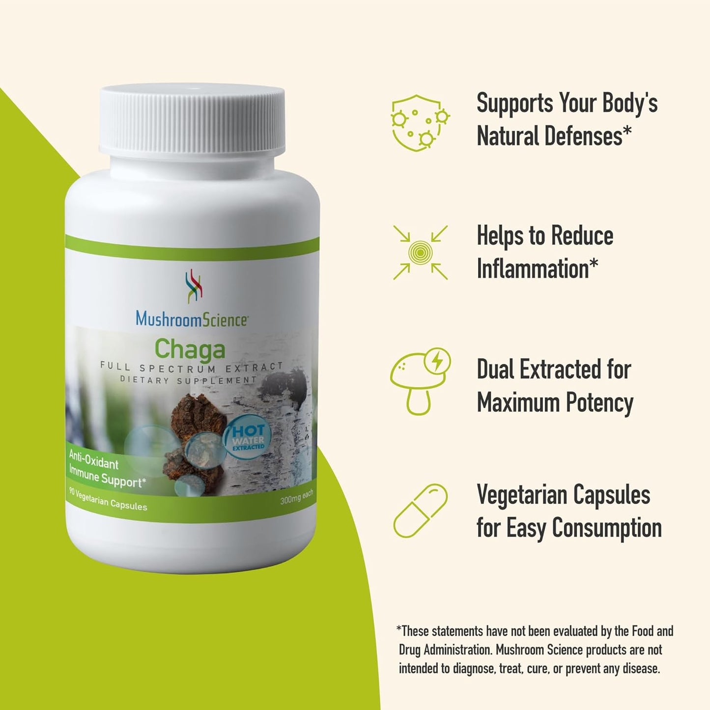 Chaga Mushroom Capsules - Full Spectrum Extract - Natural Antioxidant Supplement - Vegetarian - 300MG, 90 CT