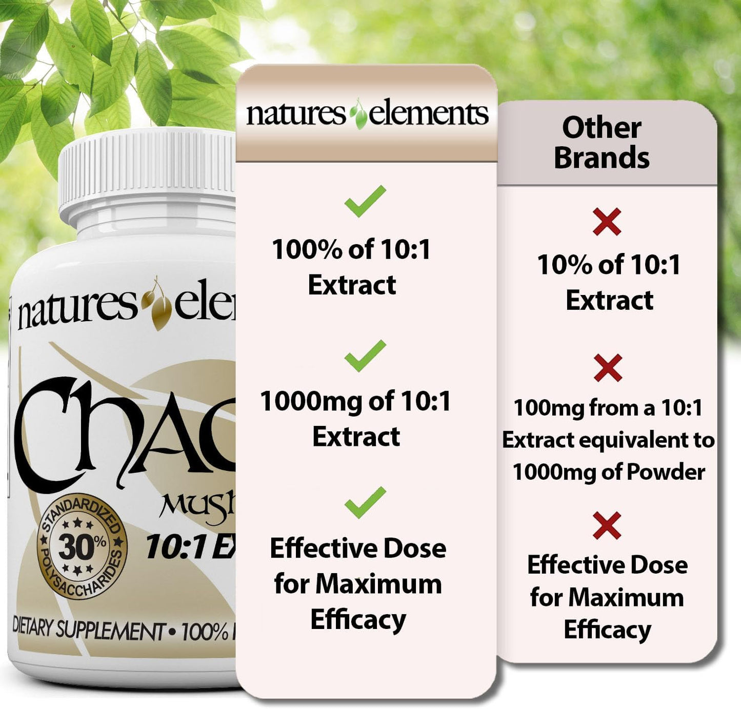 Chaga Mushroom Immune Support Supplement - Pack of 3 - High Antioxidant - 10:1 Extract - 30% Polysaccharides - 500mg Capsules - 3 Month Supply - BoostGo Australia