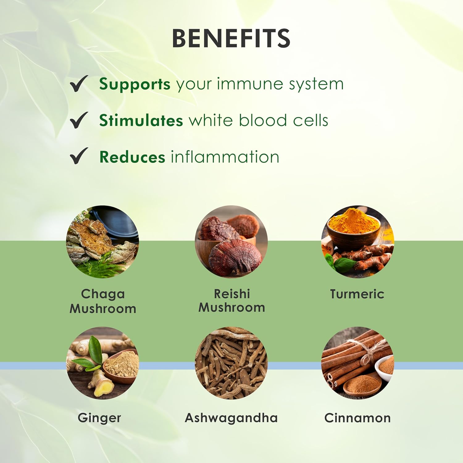 CHAGAplus Immune System Booster with Chaga Mushroom Extract, Reishi, Turmeric & Ashwagandha - 30ml