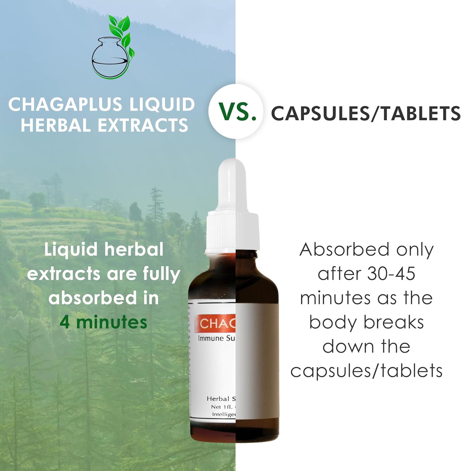 CHAGAplus Immune System Booster with Chaga Mushroom Extract, Reishi, Turmeric & Ashwagandha - 30ml
