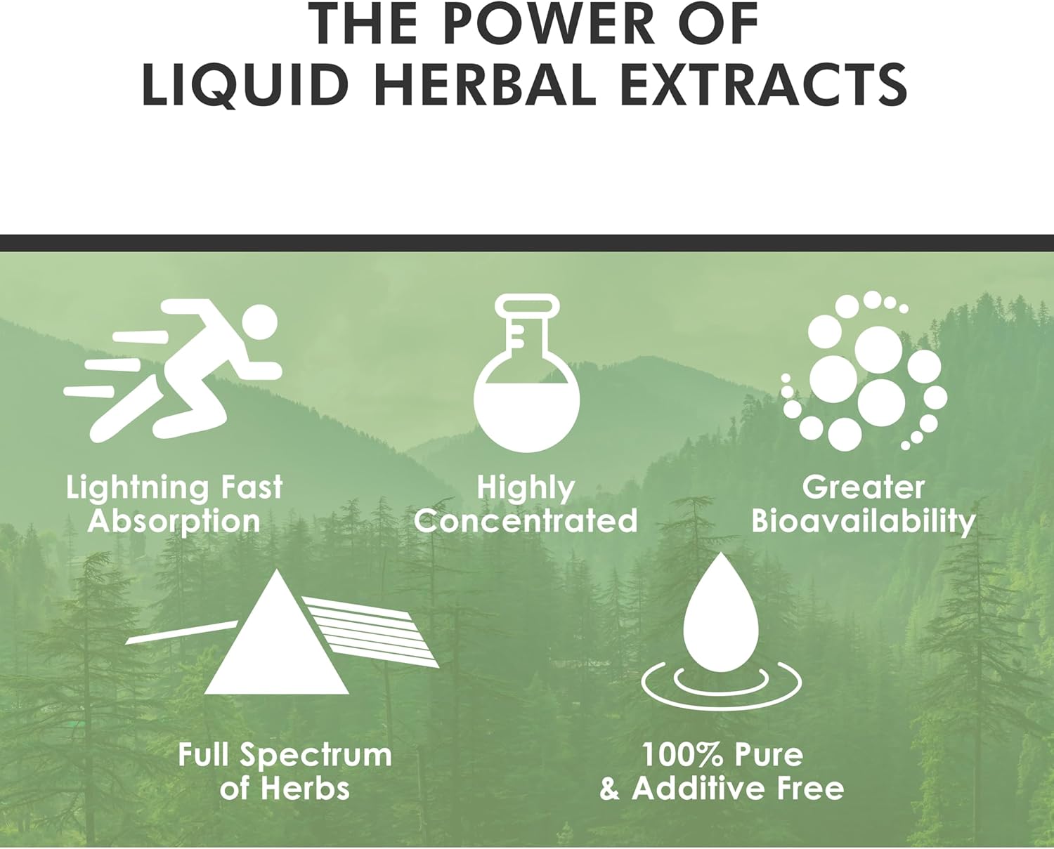 CHAGAplus Immune System Booster with Chaga Mushroom Extract, Reishi, Turmeric & Ashwagandha - 30ml