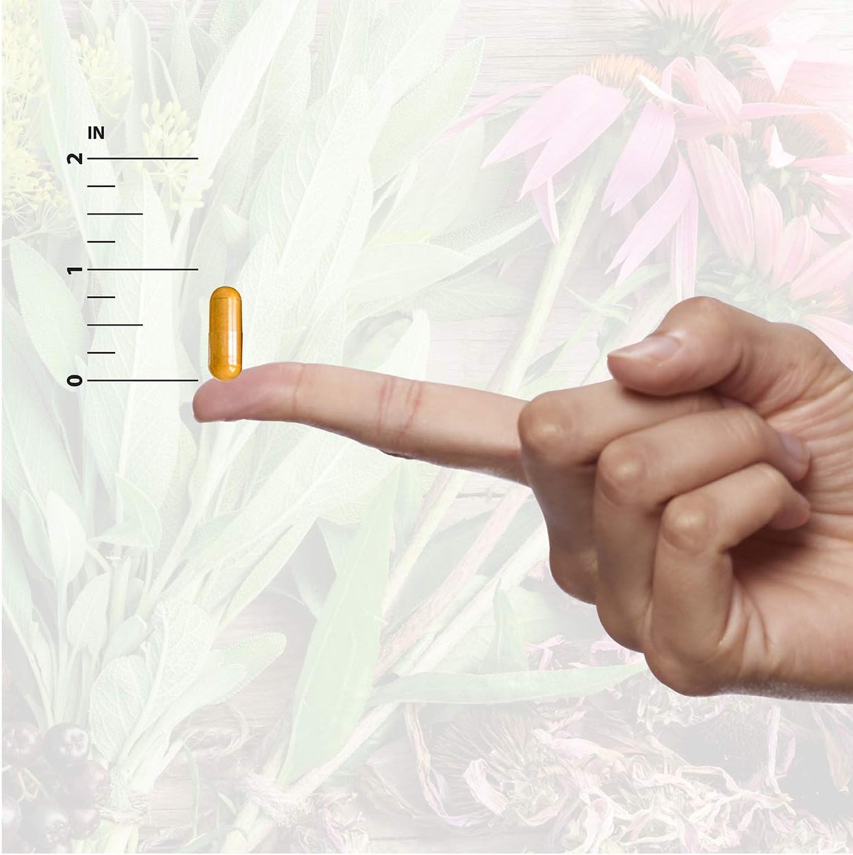 Chamomile Flower Capsules for Relaxation & Digestion Support | Natural Calming Aid | 90 Vegetarian Capsules