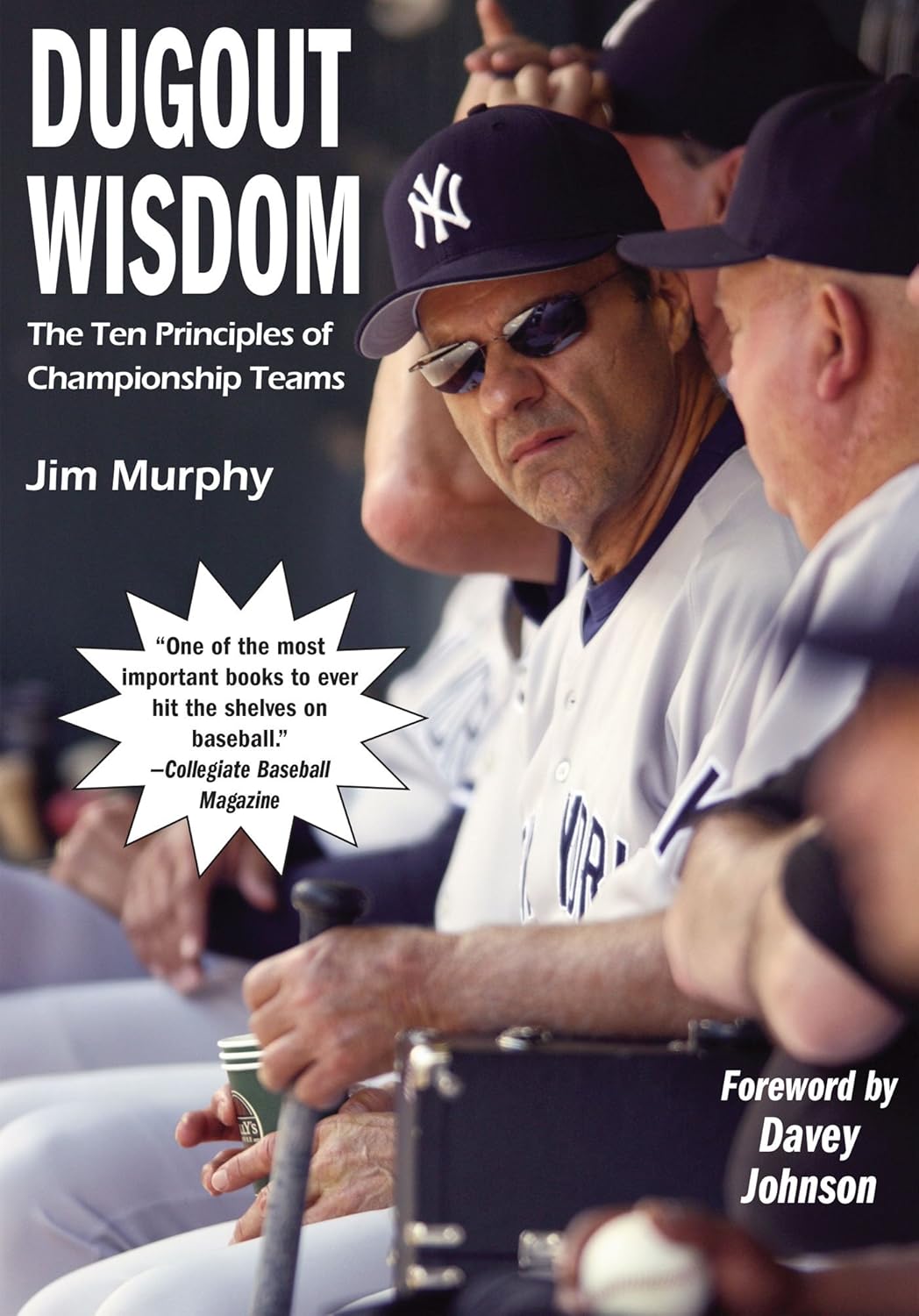 Championship Team Strategies: 10 Principles of Dugout Wisdom