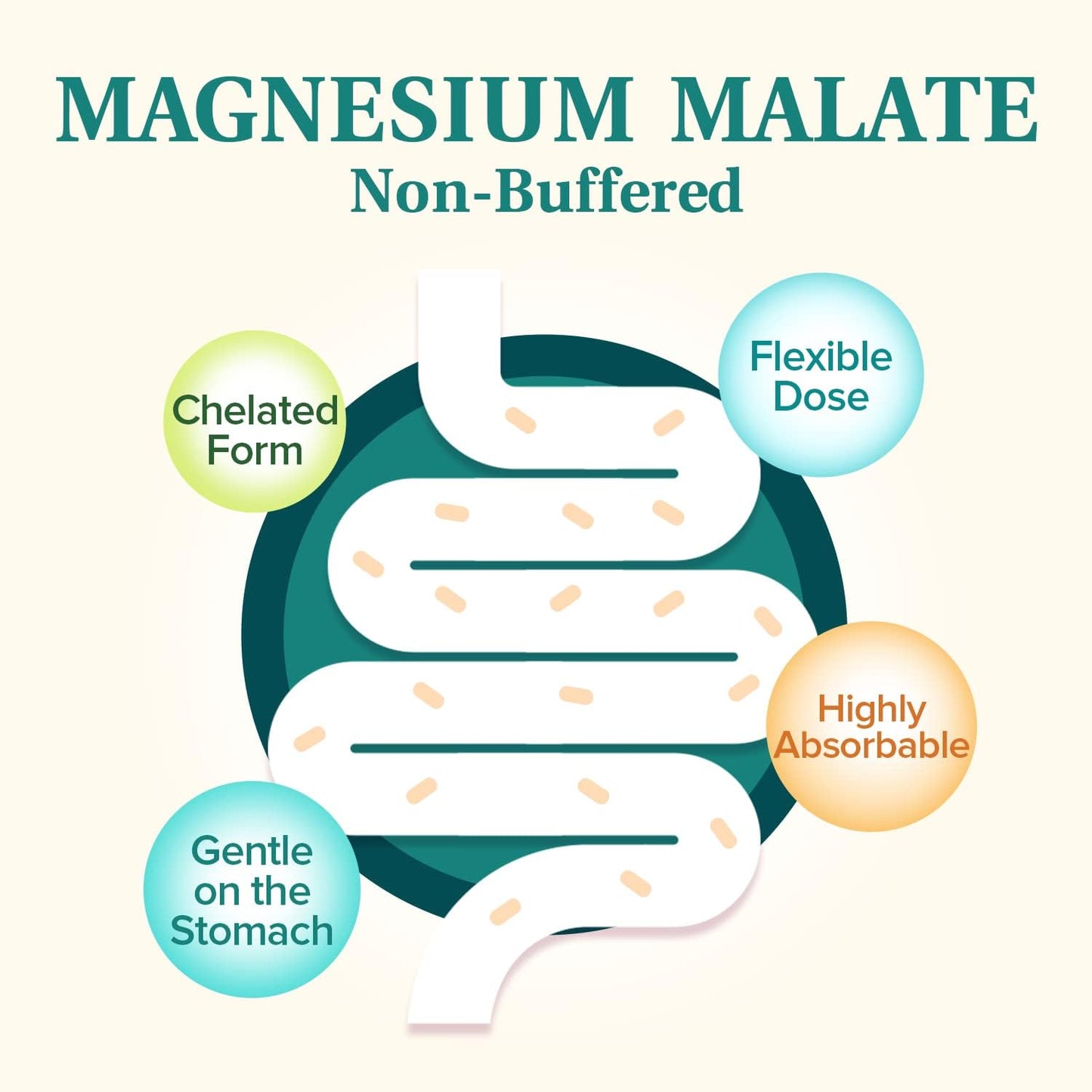 Chelated Magnesium Malate Capsules for Energy & Muscle Function, Non-Buffered, Highly Absorbable, Gentle on Stomach - 90 Vegan Capsules