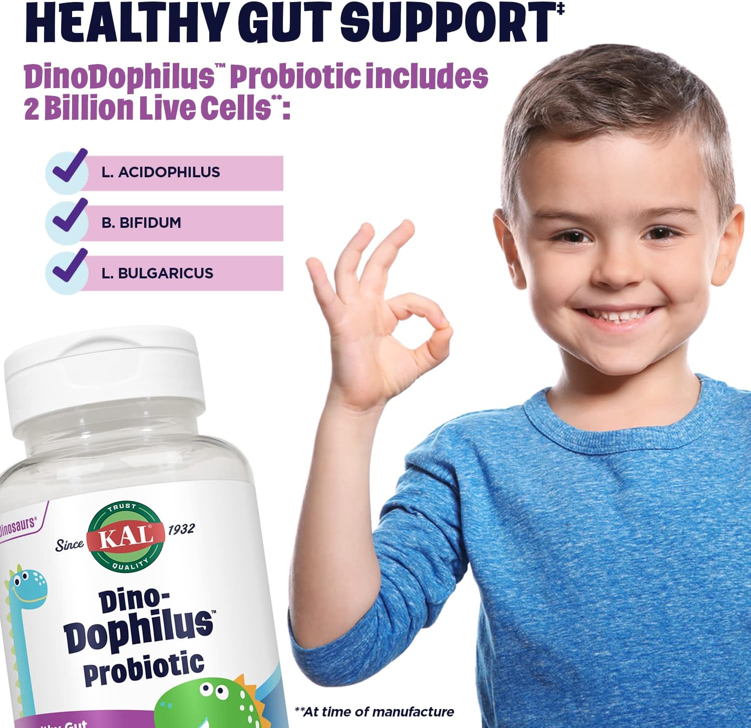 Chewable Kids Probiotic with 2 Billion CFU, Natural Black Cherry Flavor, 60 Servings