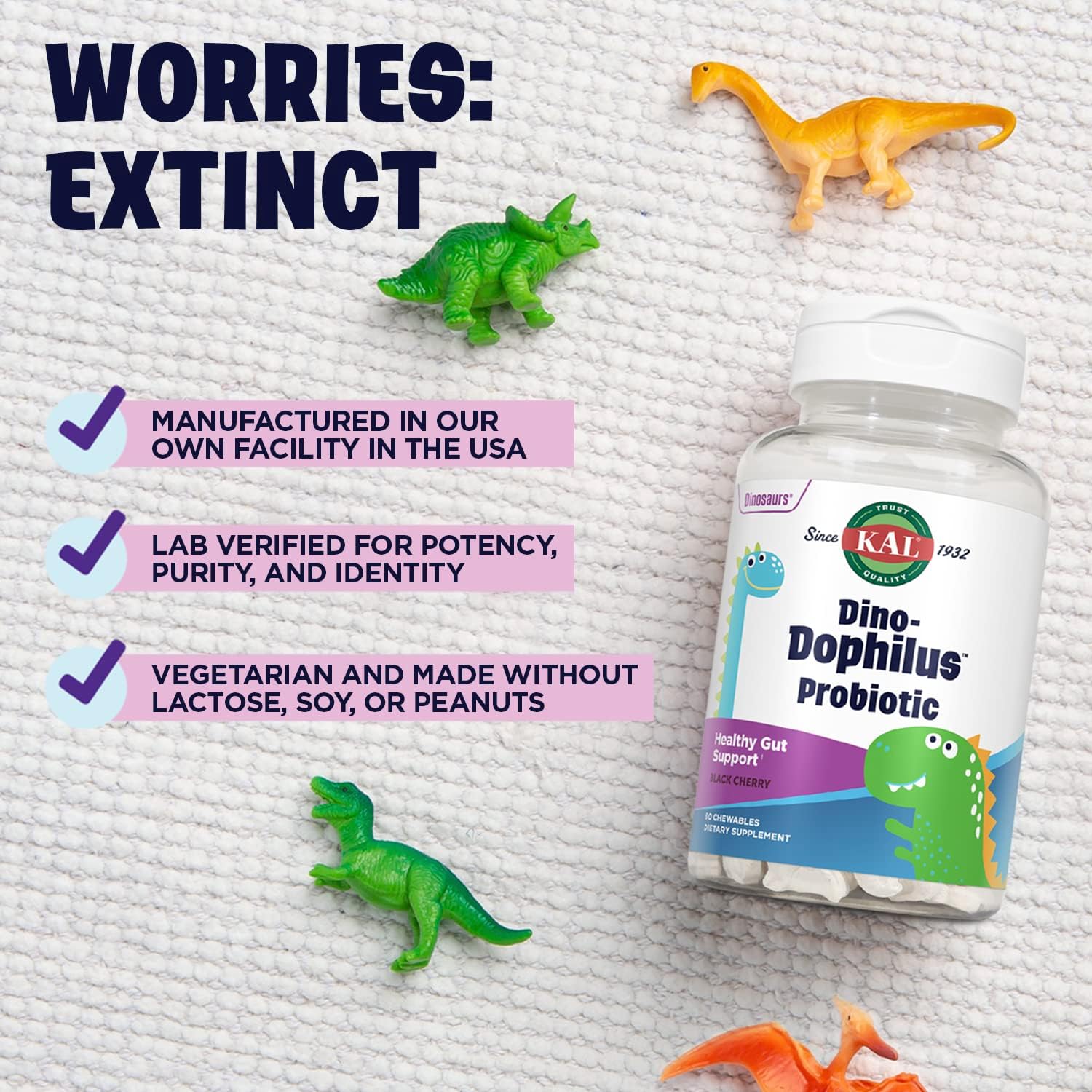 Chewable Kids Probiotic with 2 Billion CFU, Natural Black Cherry Flavor, 60 Servings