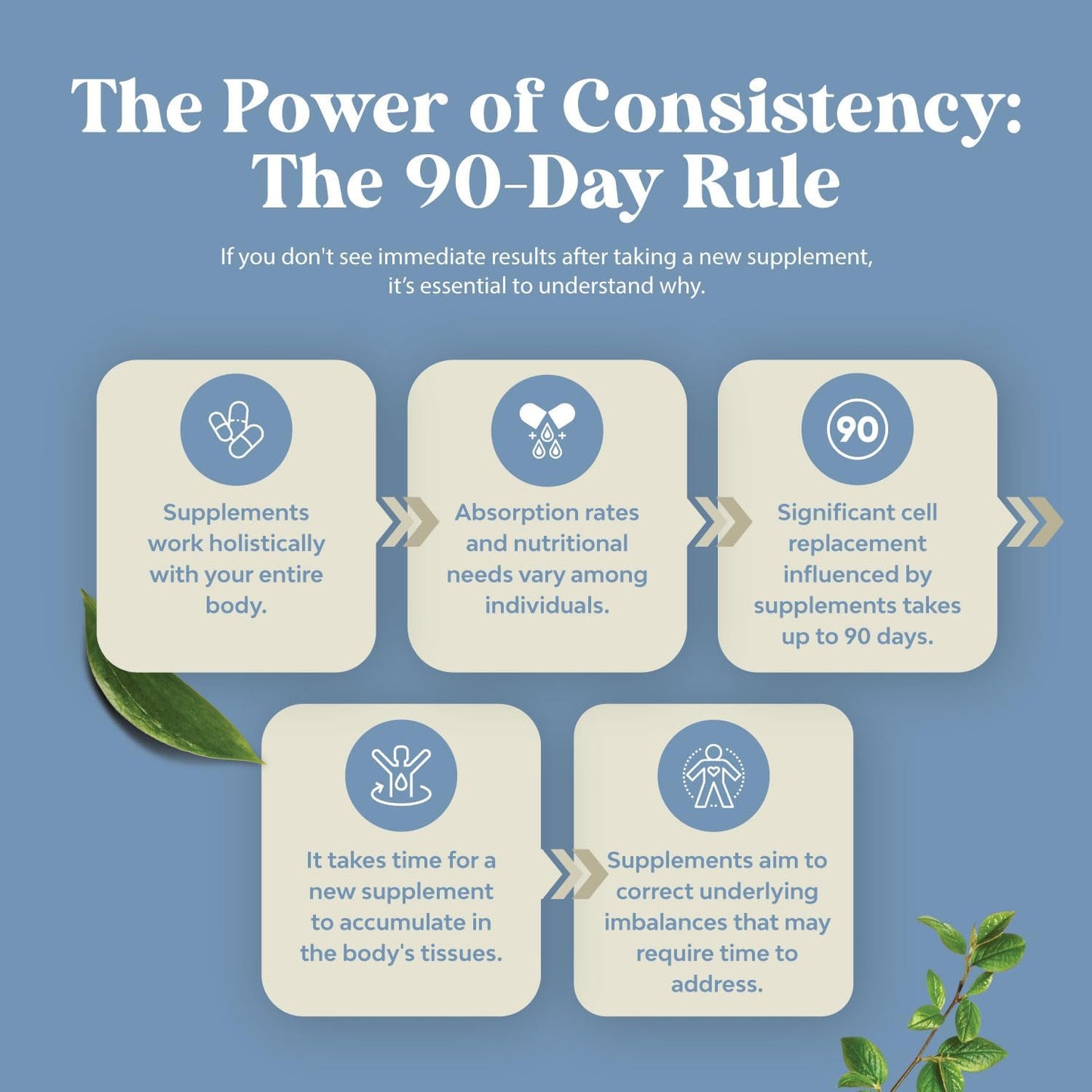 Chewable Zinc Gummies for Adults - Extra Strength Energy & Immune Support - Vitamins & Minerals - 120 Chews