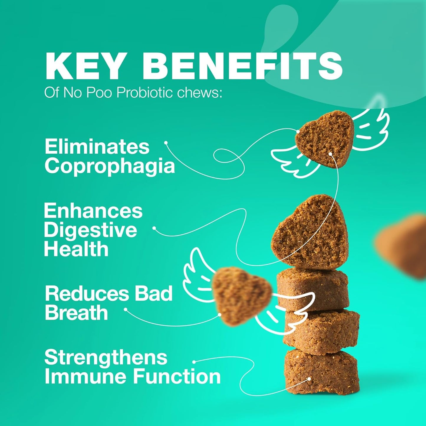 Chewia Coprophagia Deterrent Chews for Dogs - Probiotics and Enzymes for Digestive Health - Canine Stool Eating Prevention-Treats for Digestive, Dental, Gut & Immune Health