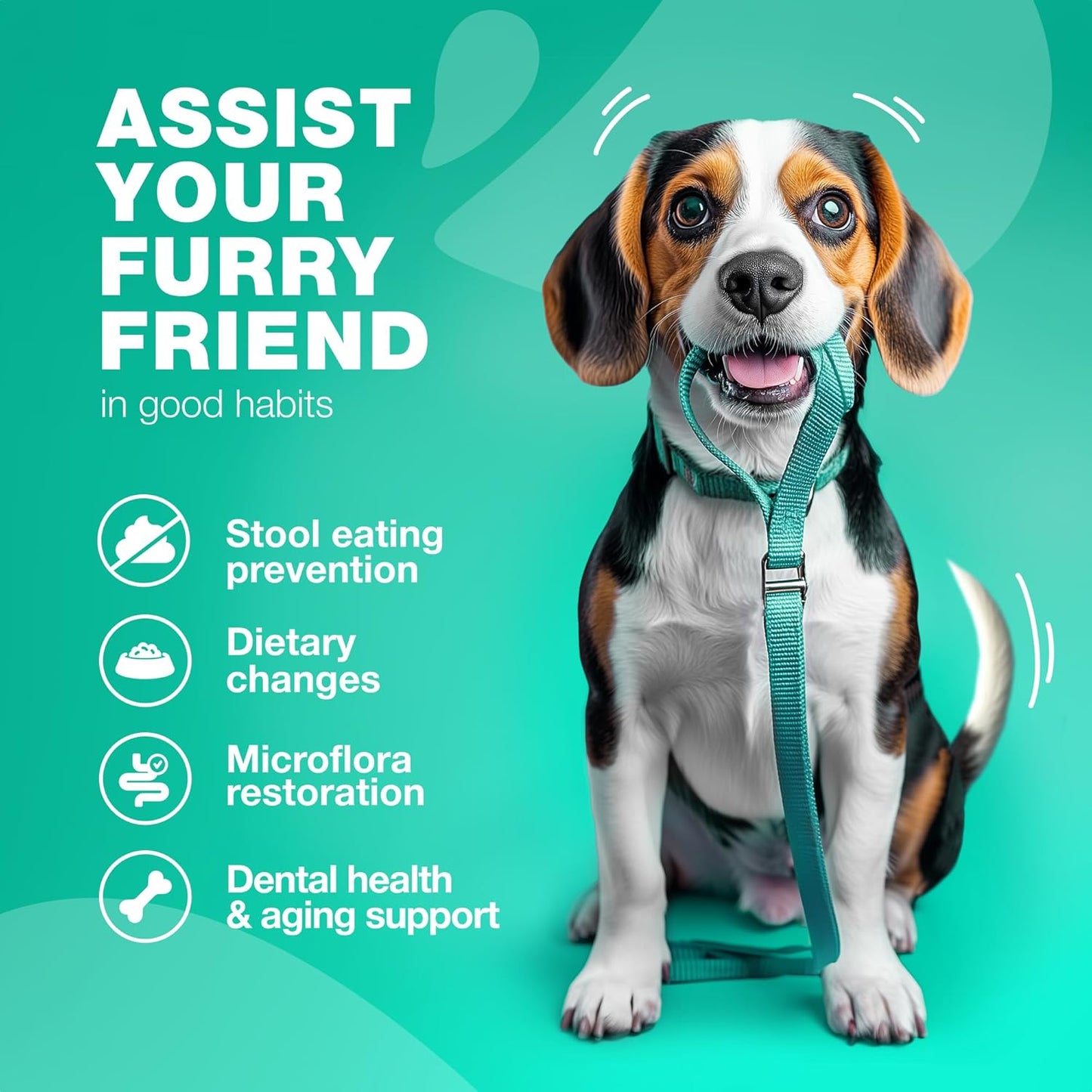 Chewia Coprophagia Deterrent Chews for Dogs - Probiotics and Enzymes for Digestive Health - Canine Stool Eating Prevention-Treats for Digestive, Dental, Gut & Immune Health