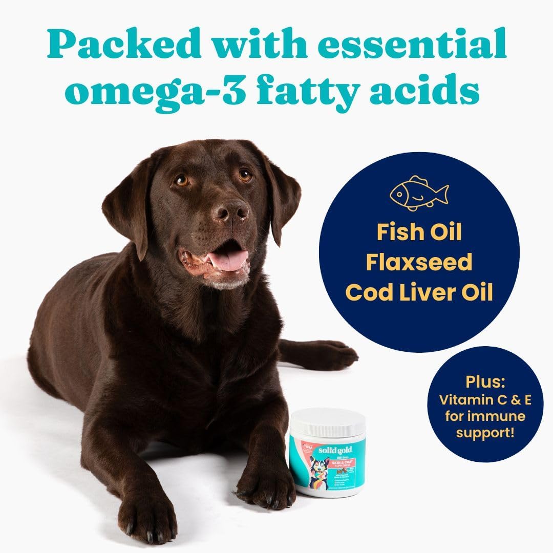 Chicken Flavored Omega Fish Oil Dog Supplement for Skin & Coat Health - Immune Support & Itch Relief Chews with Vitamin C, E, & Biotin - 120 ct