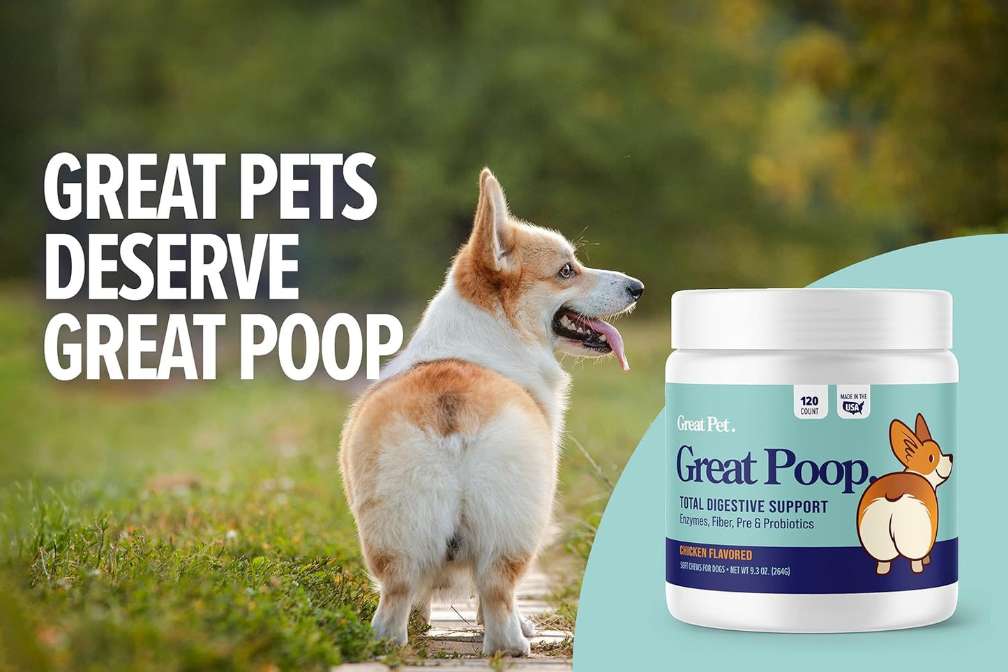 Chicken Flavored Probiotic Fiber Supplement for Dogs - Supports Healthy Gut, Firm Stool & Diarrhea Relief - Pet Soft Chews with Digestive Enzymes & Prebiotics