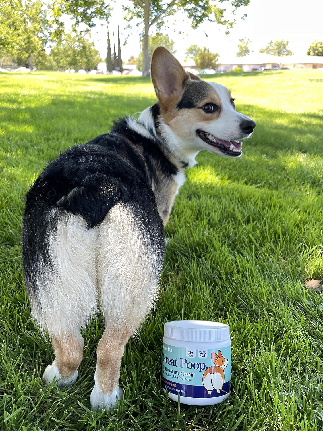 Chicken Flavored Probiotic Fiber Supplement for Dogs - Supports Healthy Gut, Firm Stool & Diarrhea Relief - Pet Soft Chews with Digestive Enzymes & Prebiotics