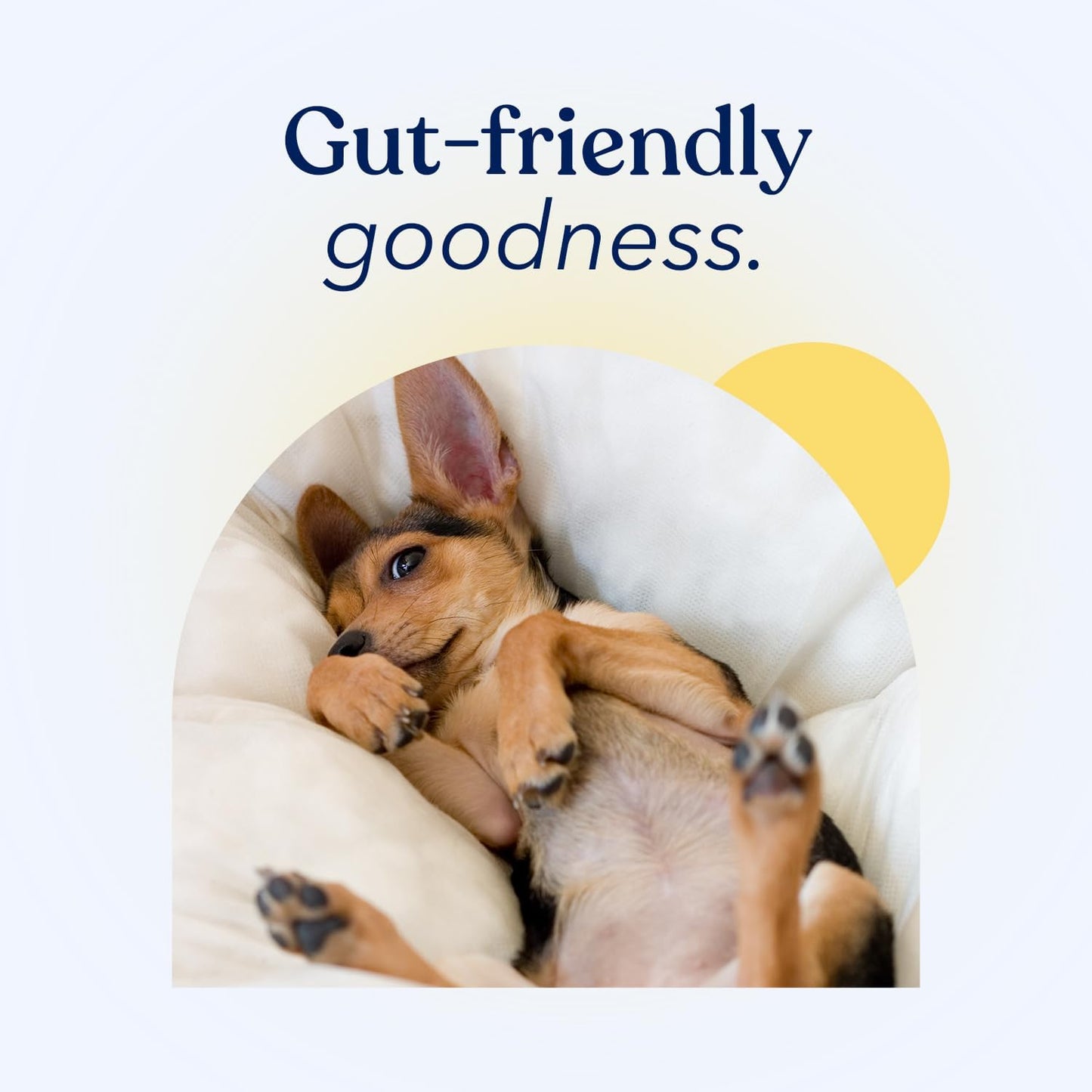 Chicken Flavored Probiotic Powder for Dogs - Supports Digestion & Immune Health with Prebiotic, Made in USA (30 Sticks) - BoostGo Australia